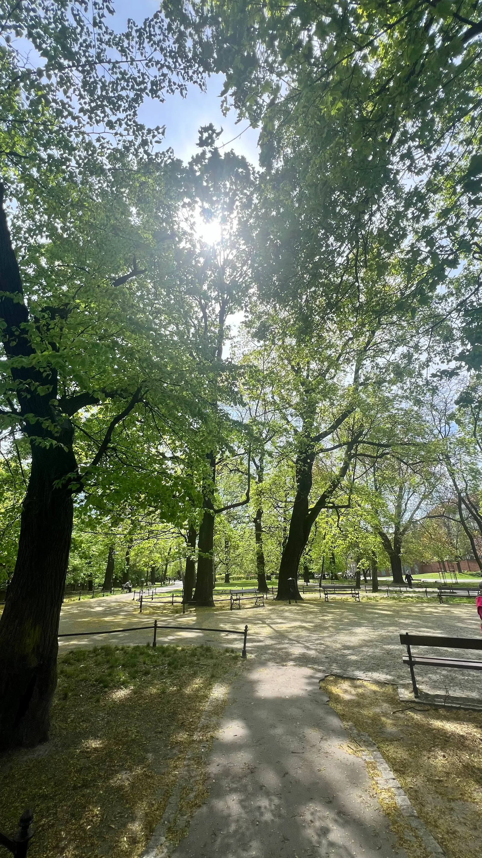 Atmosphere at Strzelecki Park Kraków — travel photo