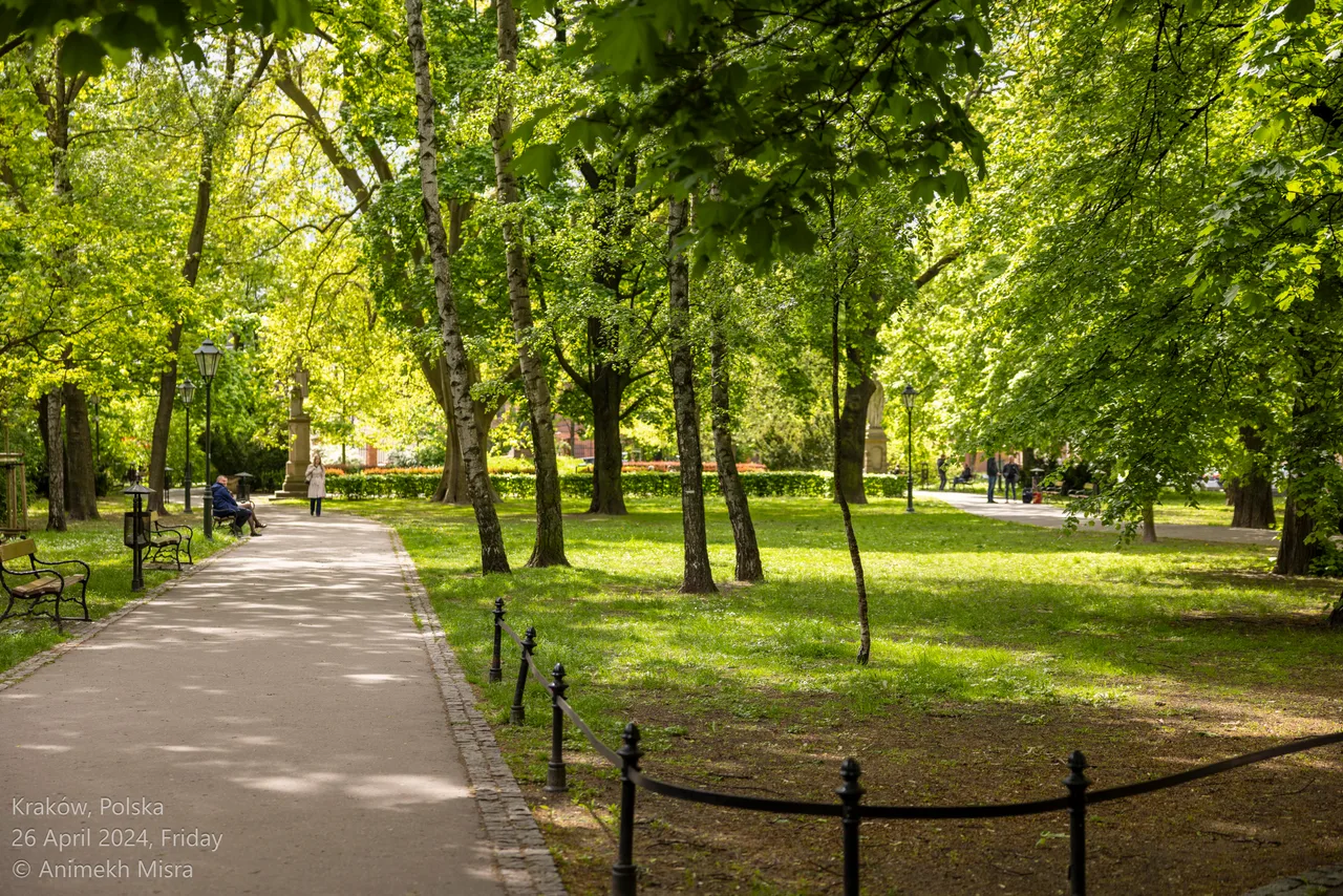 Strzelecki Park