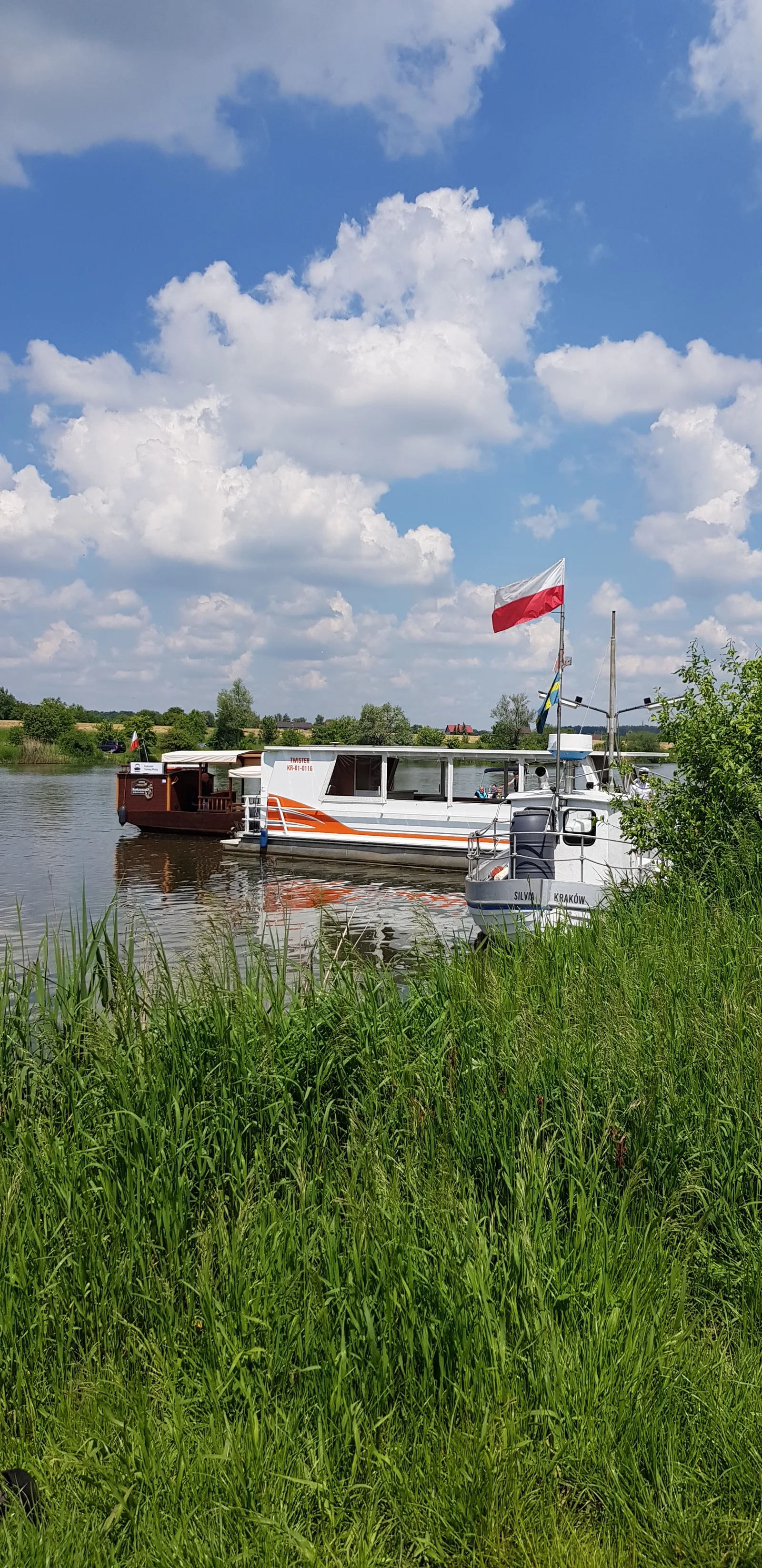 Atmosphere at Tyniec Forest Kraków — travel photo