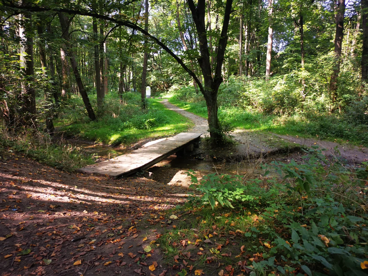 Witkowice Park
