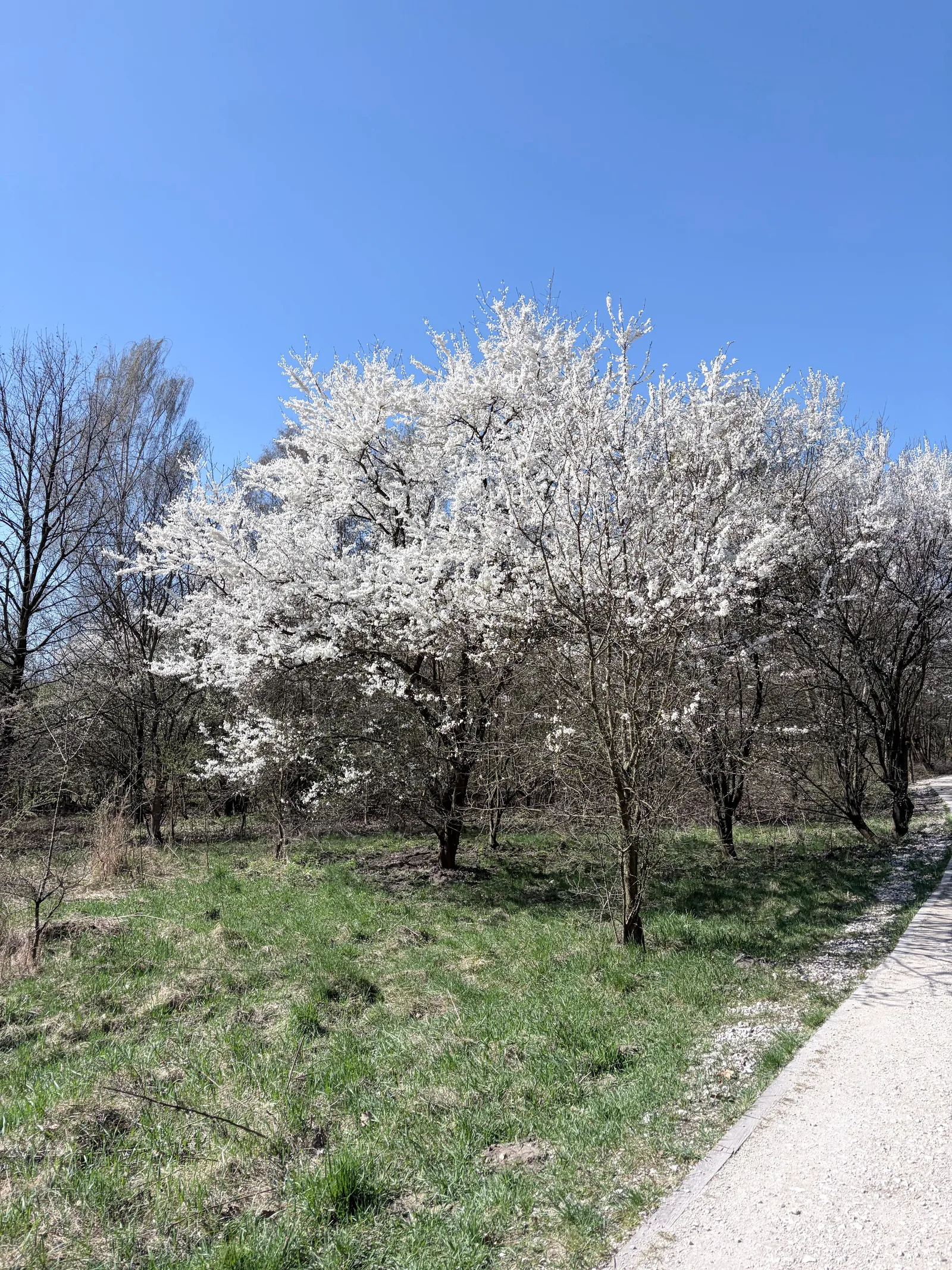 Atmosphere at Zakrzówek Viewpoint Kraków — travel photo