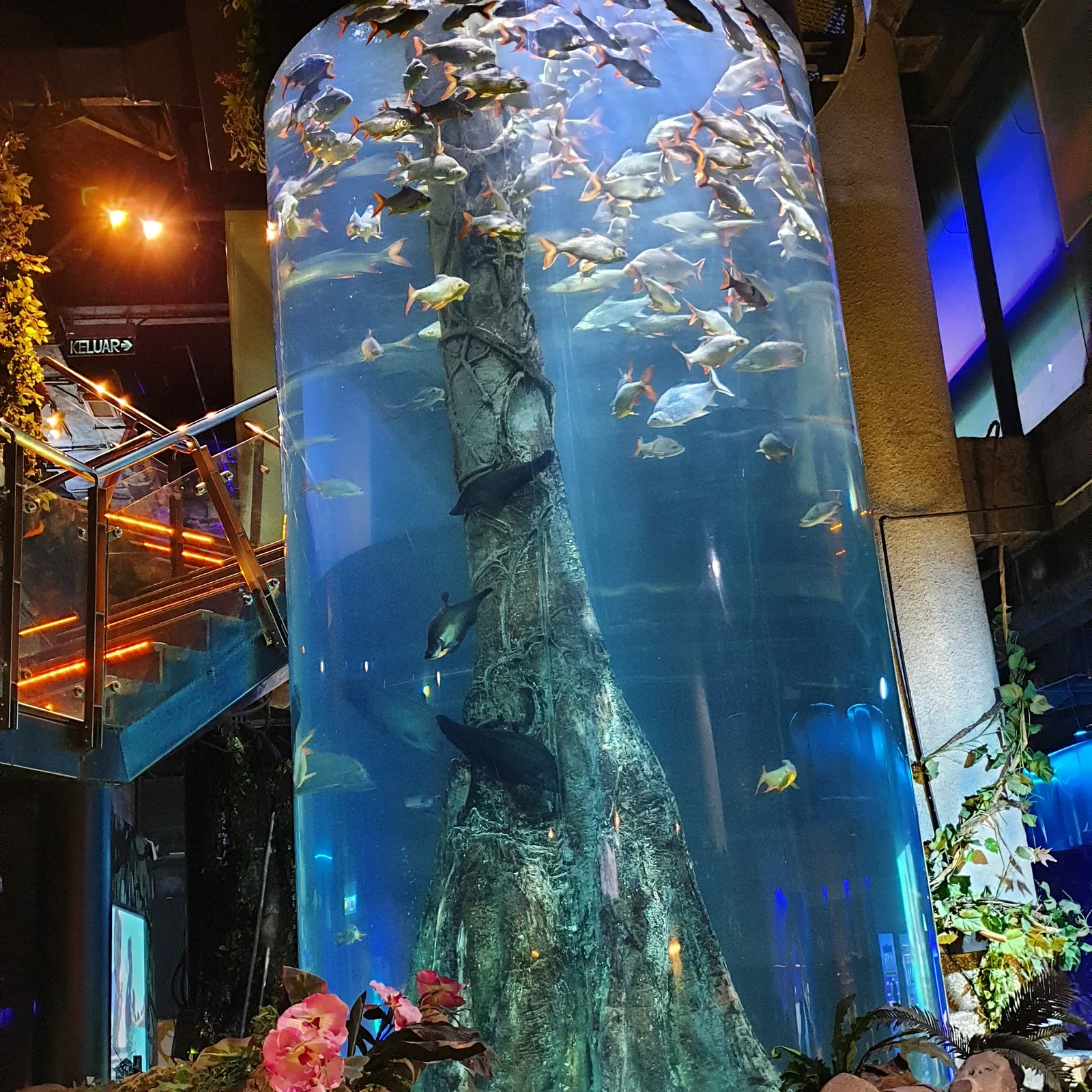 Main view at Aquaria KLCC Kuala Lumpur — travel photo