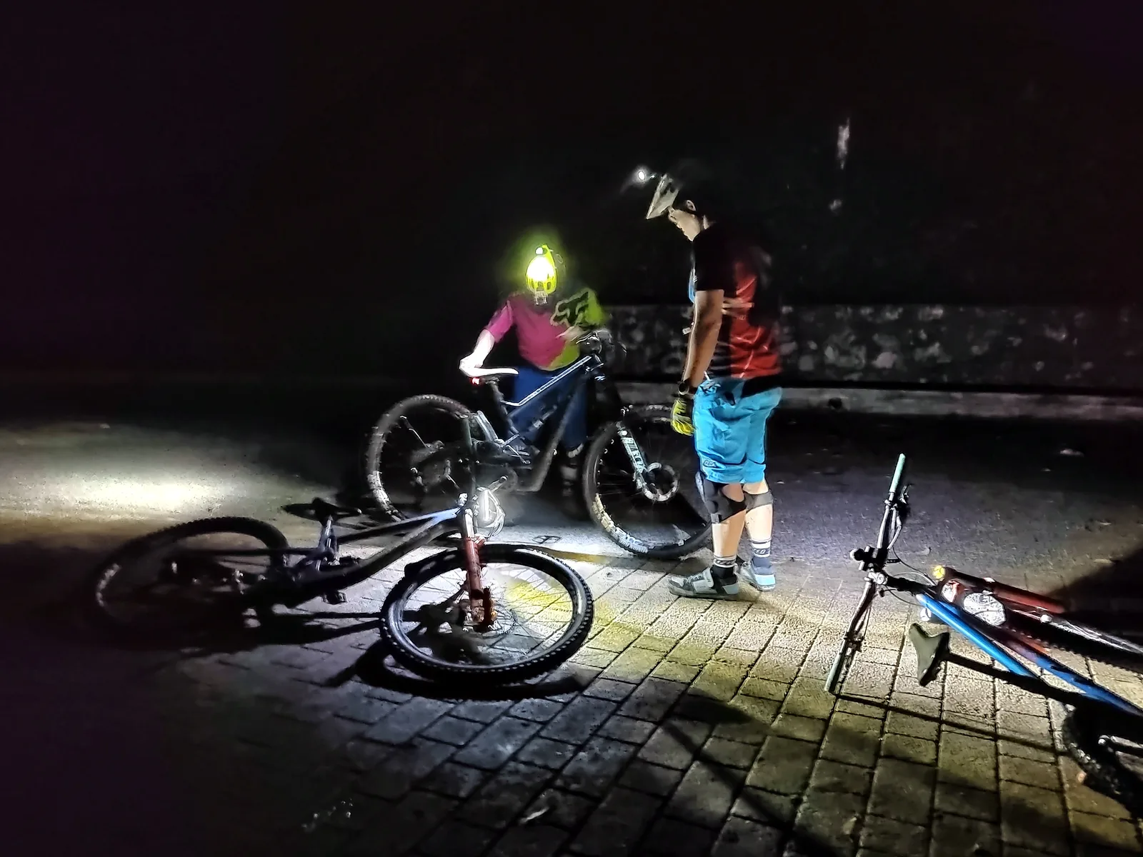 Interior at Bukit Kiara Downhill Mountain Bike Trail Kuala Lumpur — travel photo