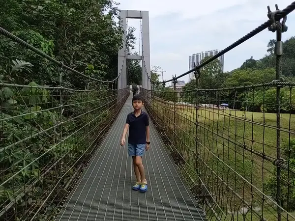 Interior at Kerinchi Hill Forest Park Kuala Lumpur — travel photo