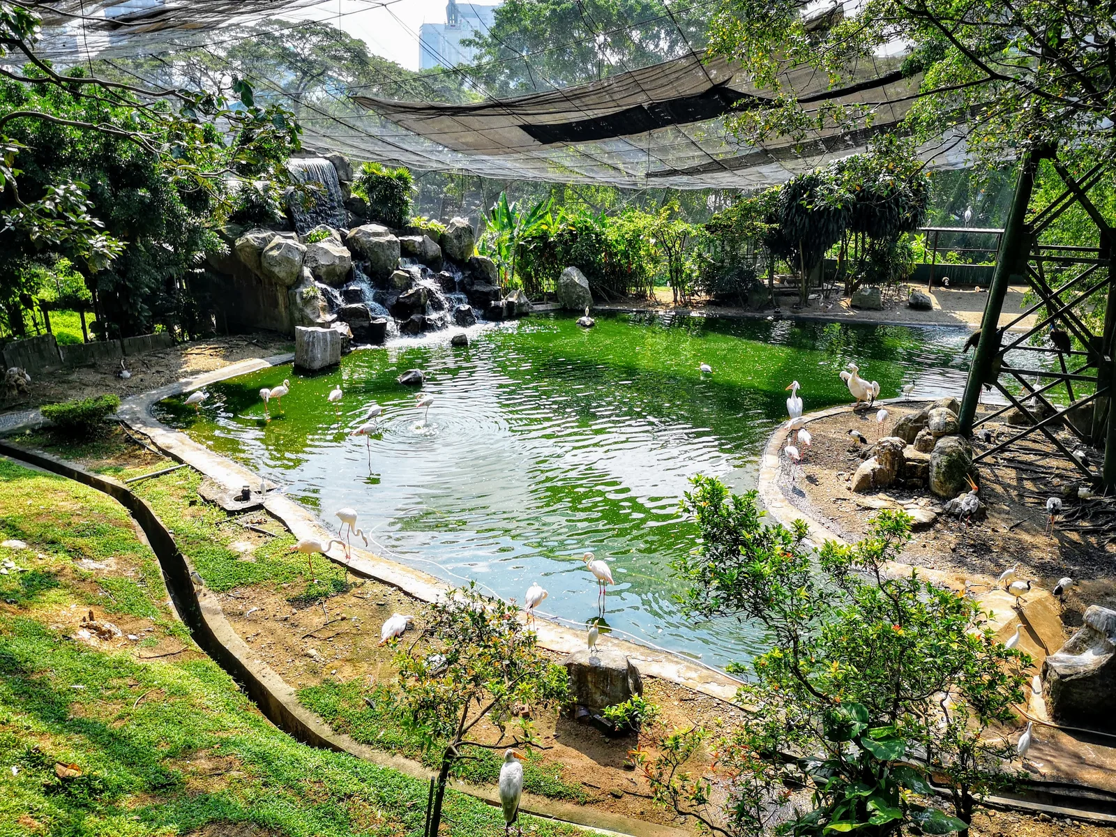 Main view at KL Bird Park Kuala Lumpur — travel photo