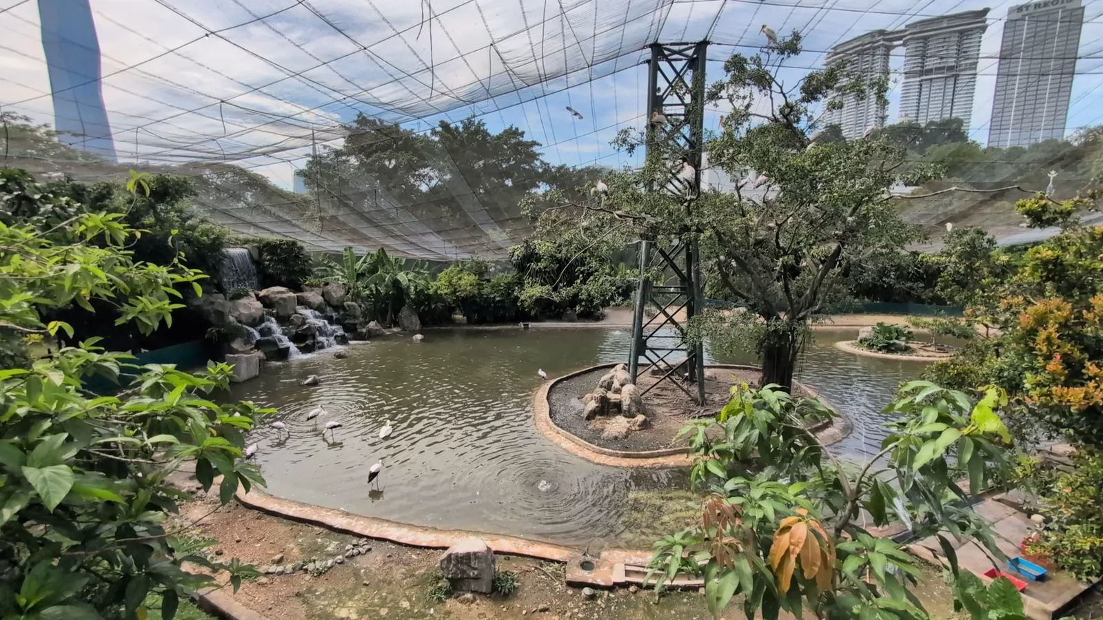 Atmosphere at KL Bird Park Kuala Lumpur — travel photo