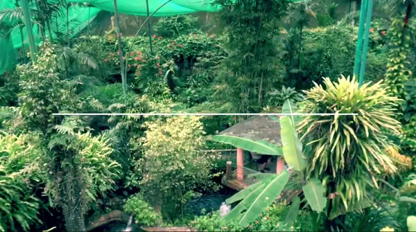 Interior at Kuala Lumpur Butterfly Park Kuala Lumpur — travel photo
