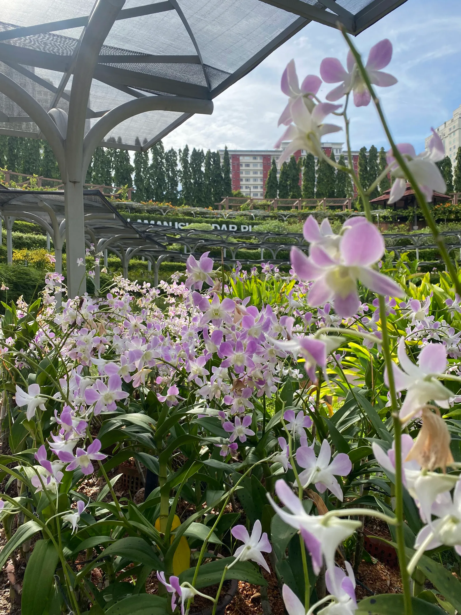 Atmosphere at Permaisuri Lake Garden Kuala Lumpur — travel photo