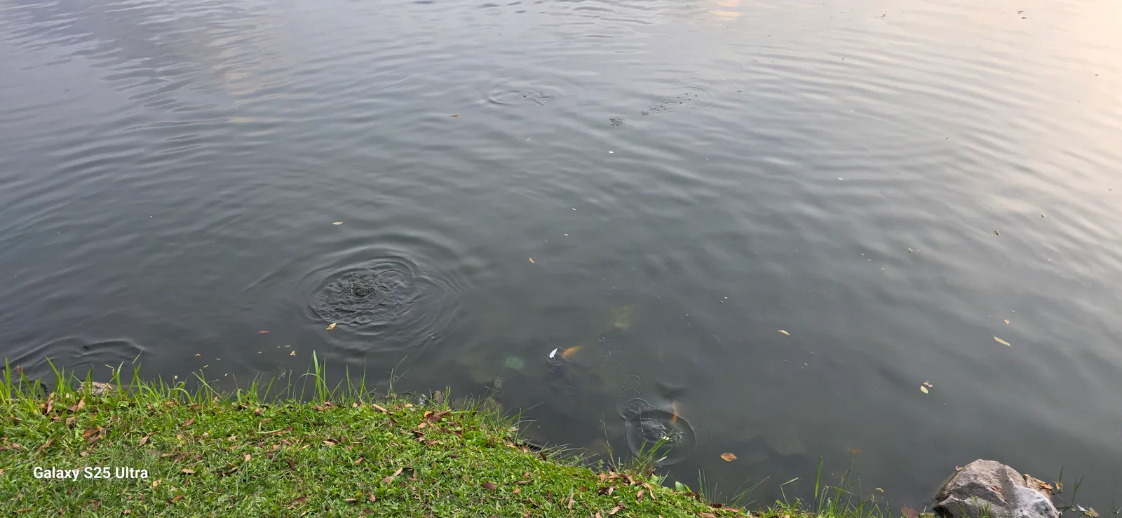 Taman Tasik Ampang Hilir โ budget guide Kuala Lumpur