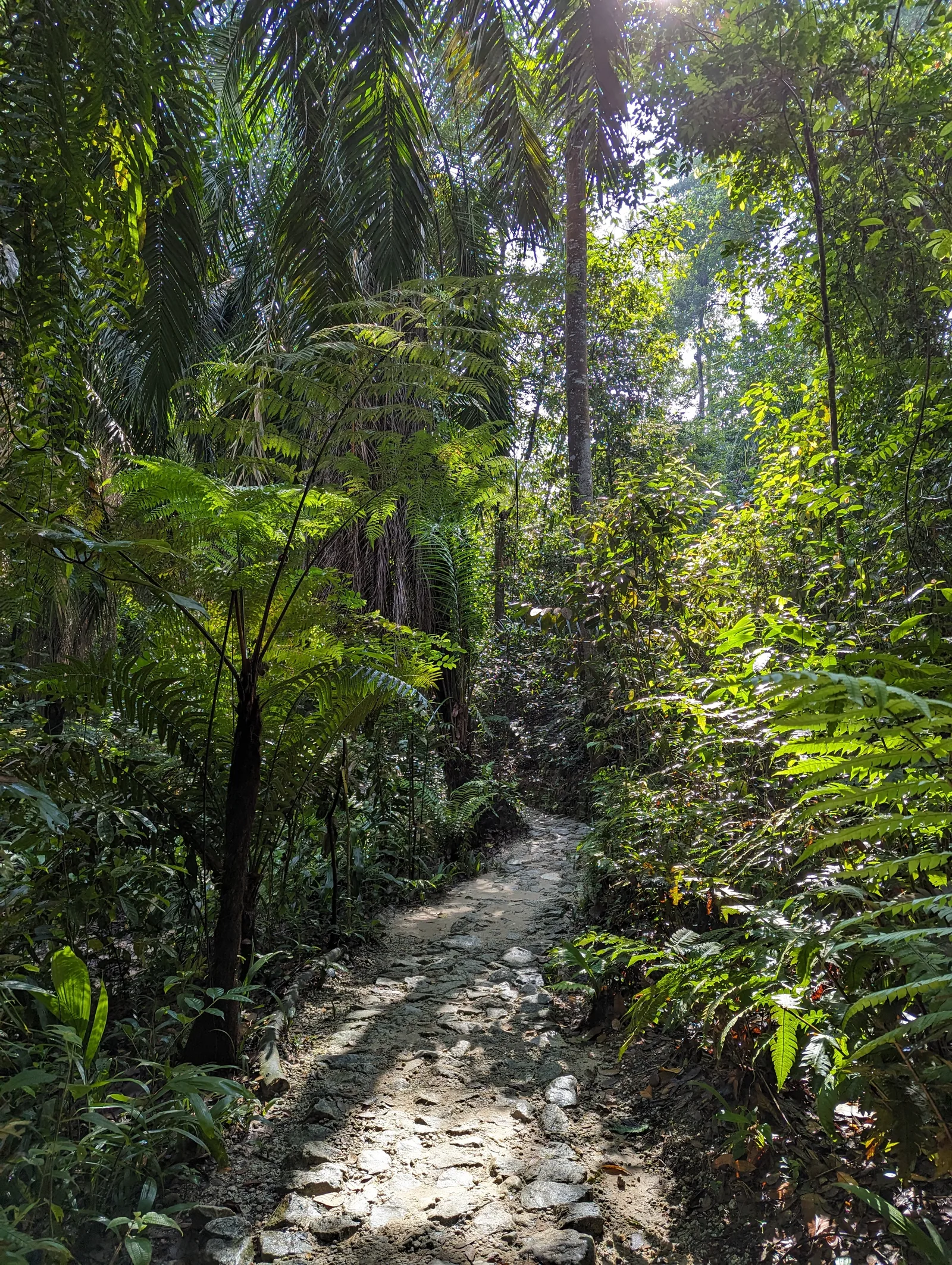 Atmosphere at Taman Tugu Kuala Lumpur — travel photo