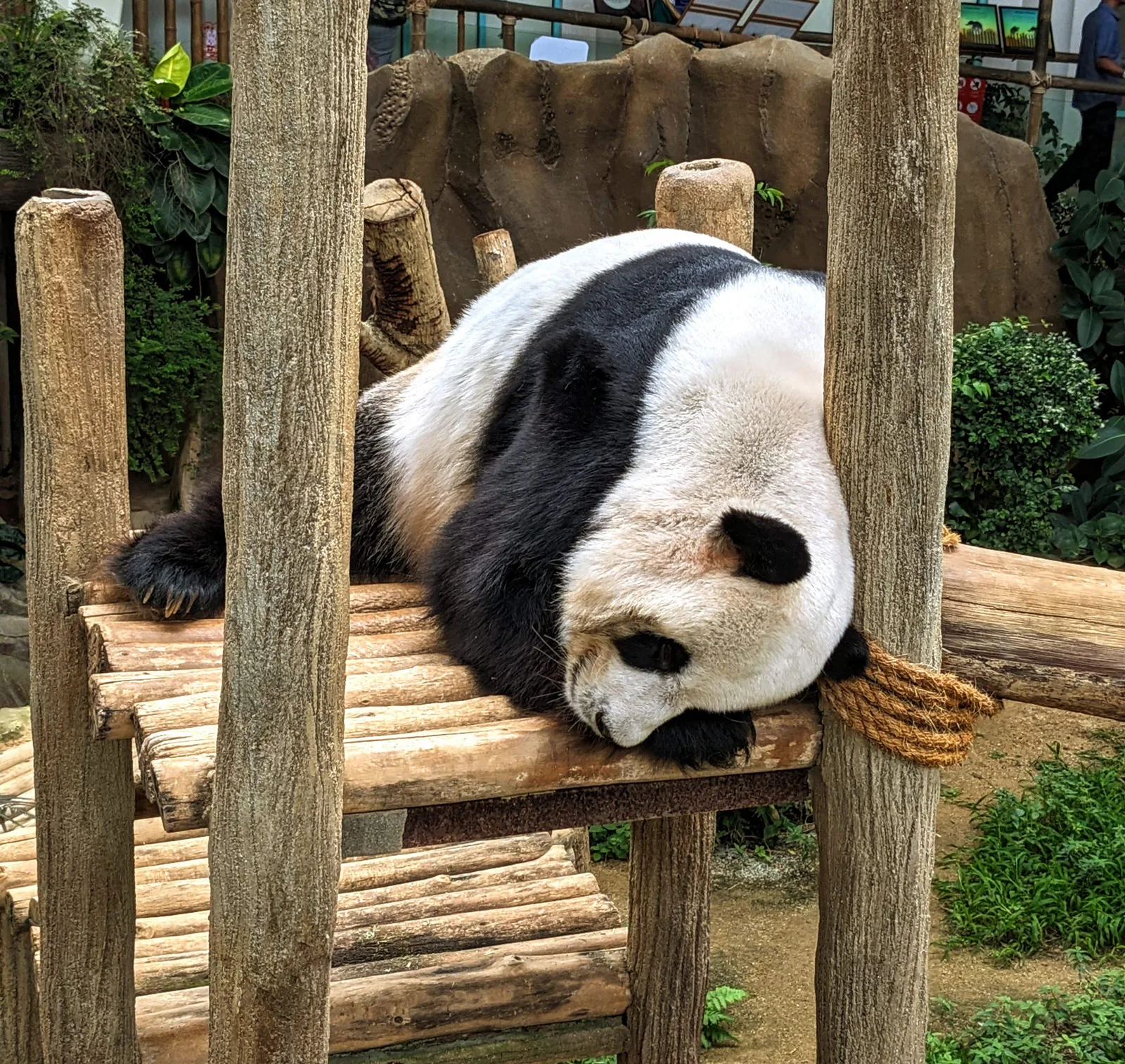 Interior at Zoo Negara Malaysia Kuala Lumpur — travel photo
