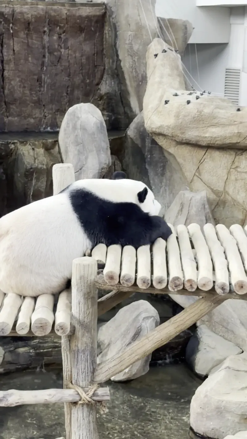 Zoo Negara Malaysia in Kuala Lumpur