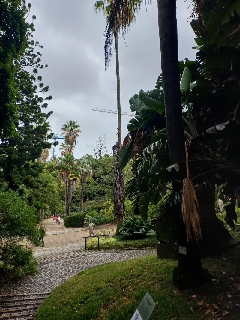 Botanical Garden of Lisbon