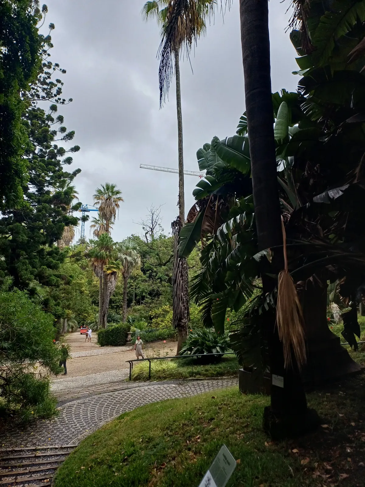 Botanical Garden of Lisbon