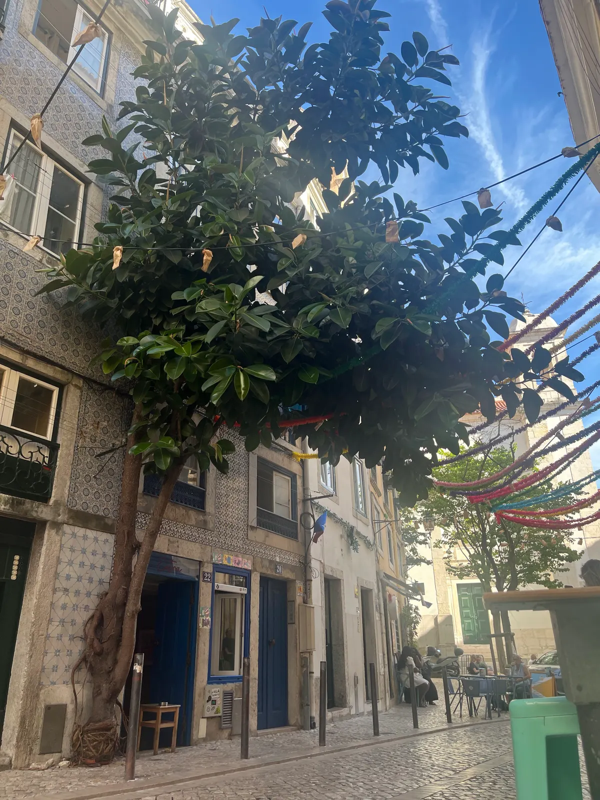 Main view at Historic Giant Plant of Lisbon Lisbon — travel photo