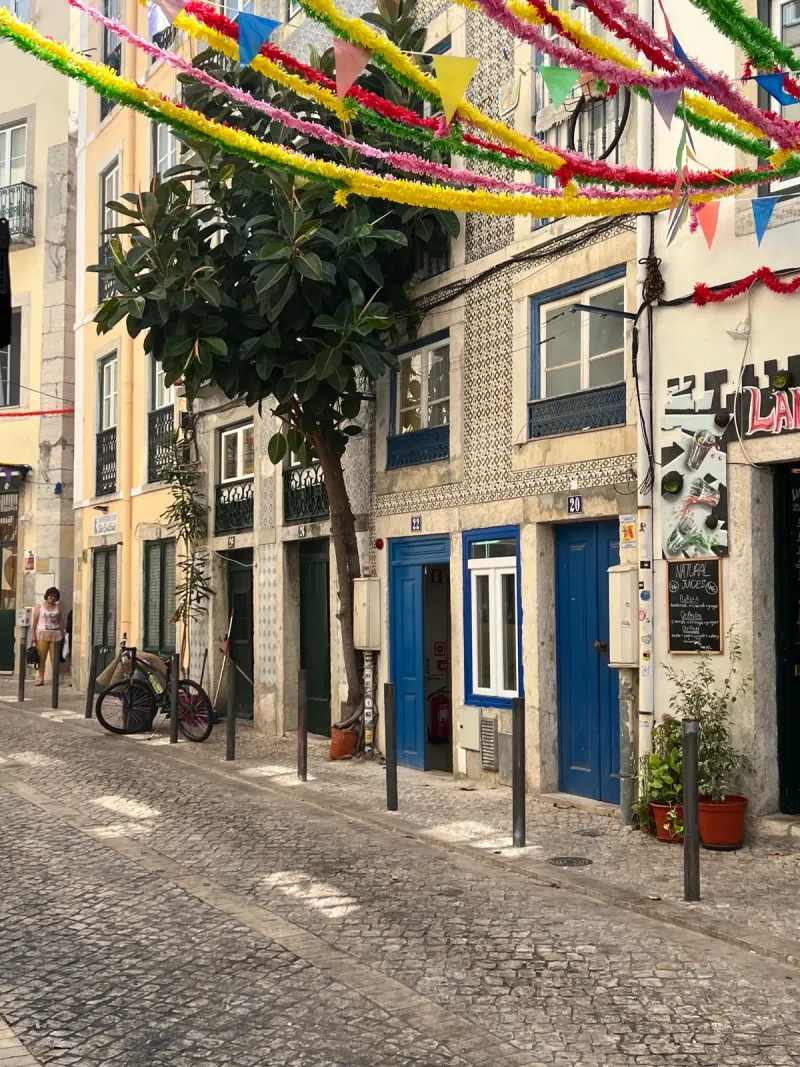 Historic Giant Plant of Lisbon — Attraction in Lisbon