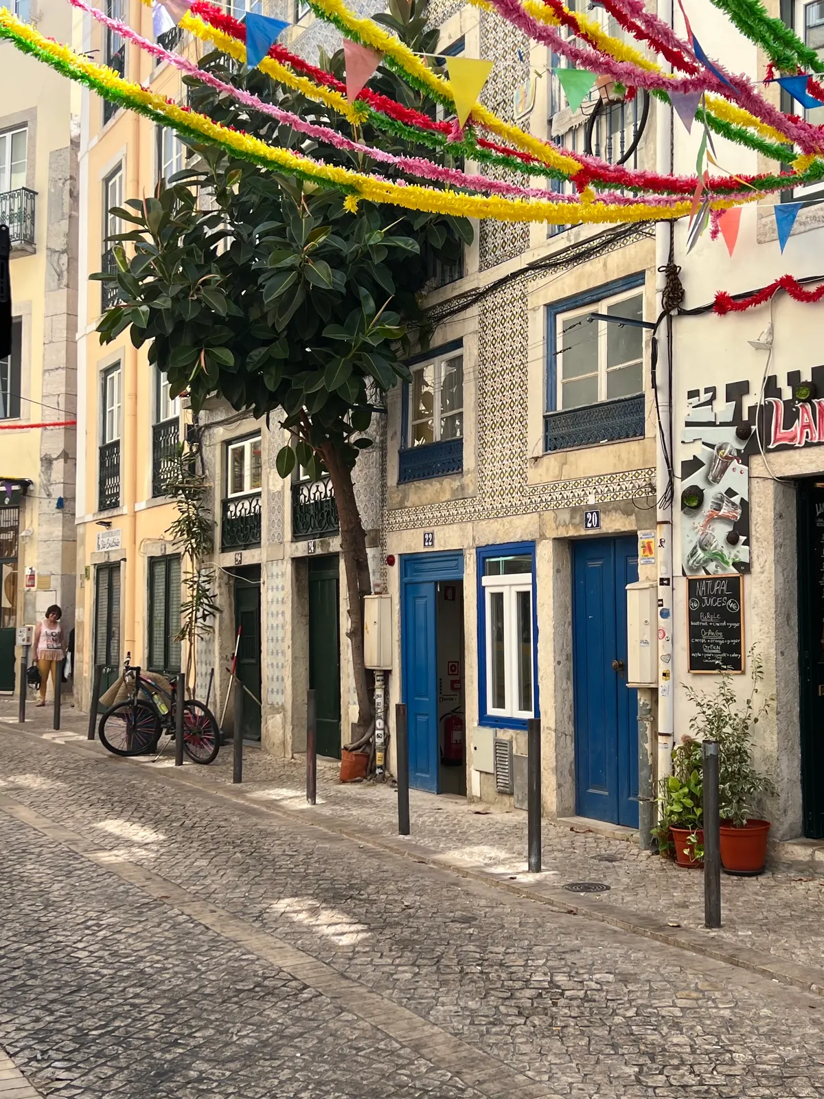 Historic Giant Plant of Lisbon