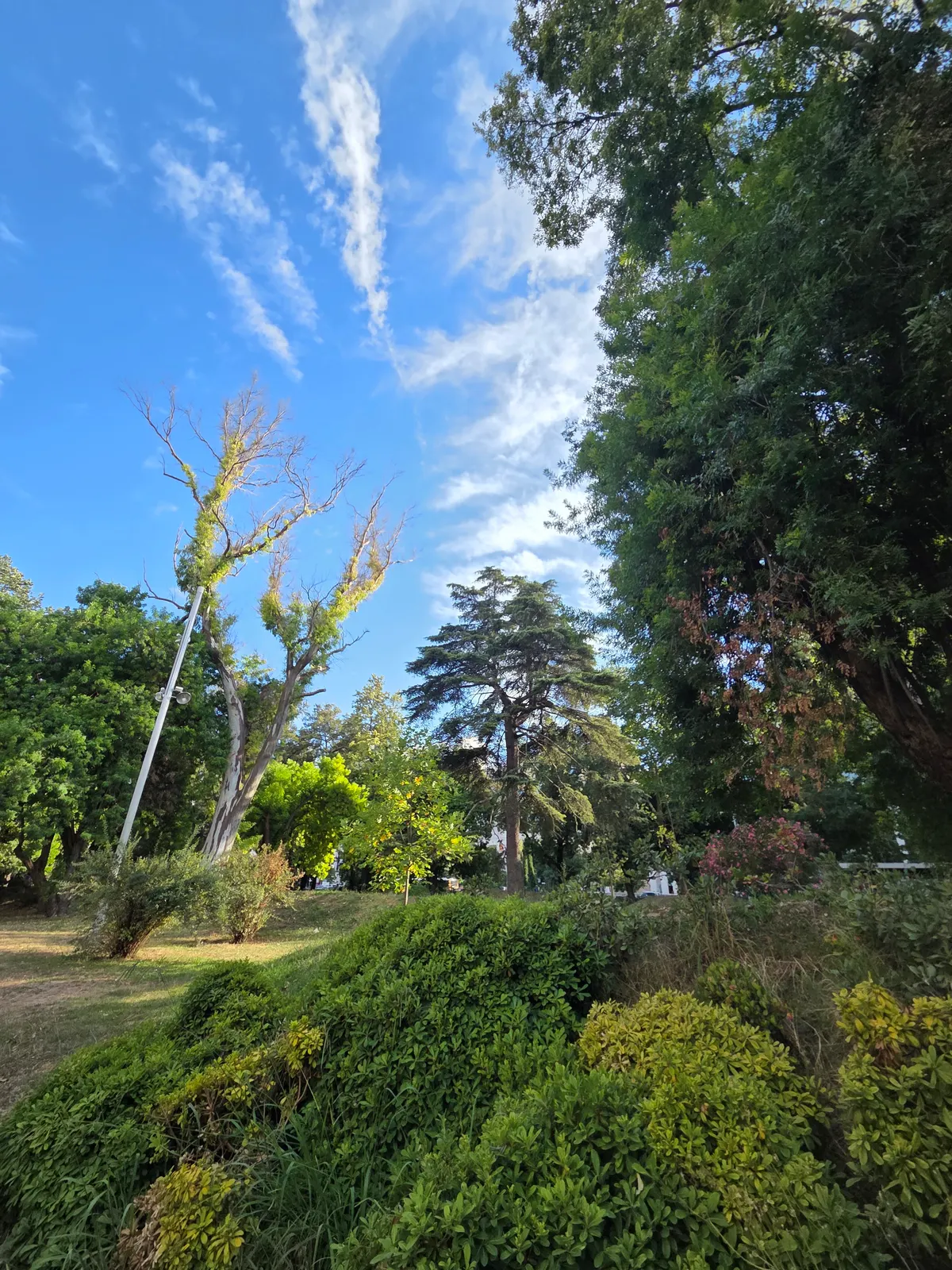 Main view at Jardim Mário Soares Lisbon — travel photo