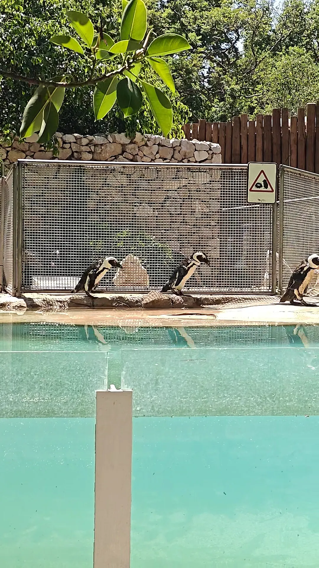 Main view at Jardim Zoológico Lisbon — travel photo
