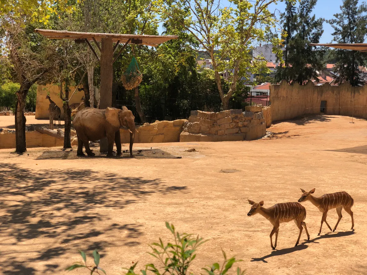 Details at Jardim Zoológico Lisbon — travel photo