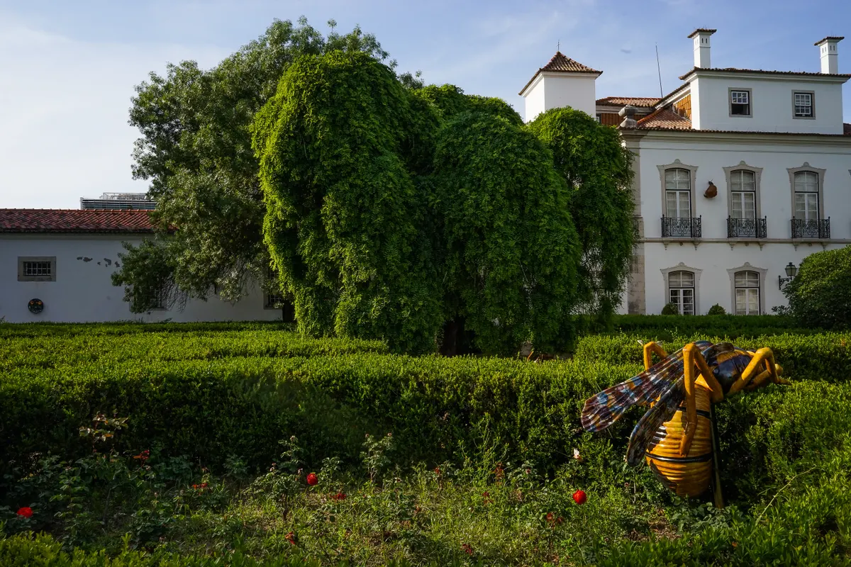 Museum of Lisbon – Pimenta Palace