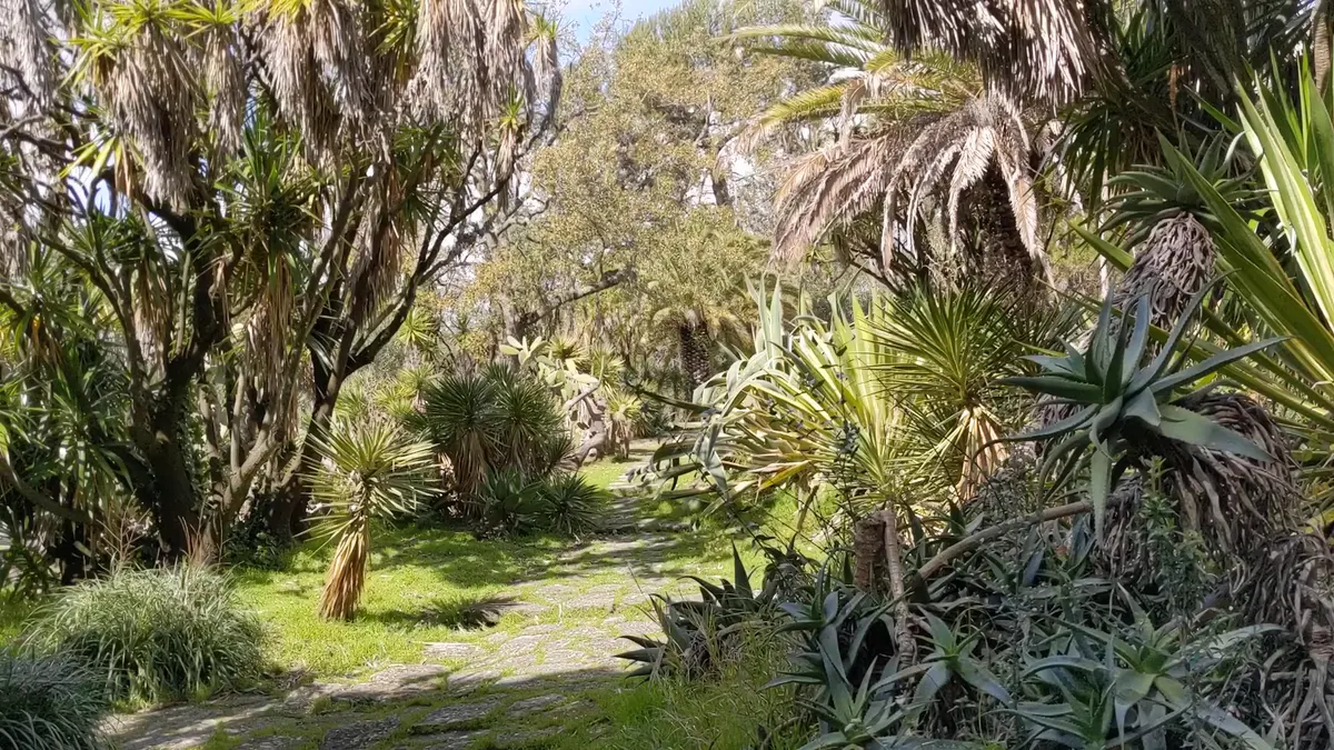 Interior at Park Necessidades Lisbon — travel photo