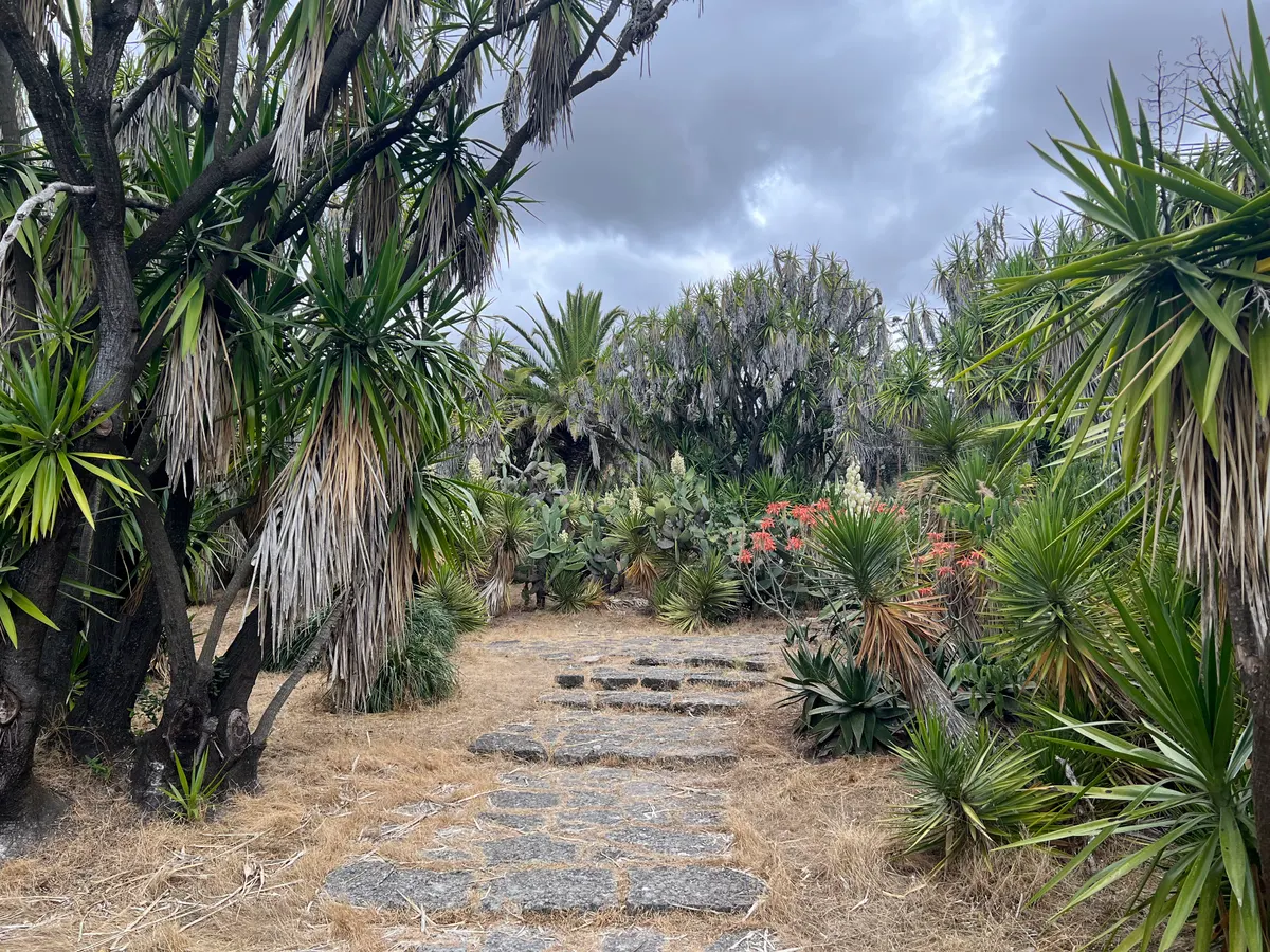Atmosphere at Park Necessidades Lisbon — travel photo
