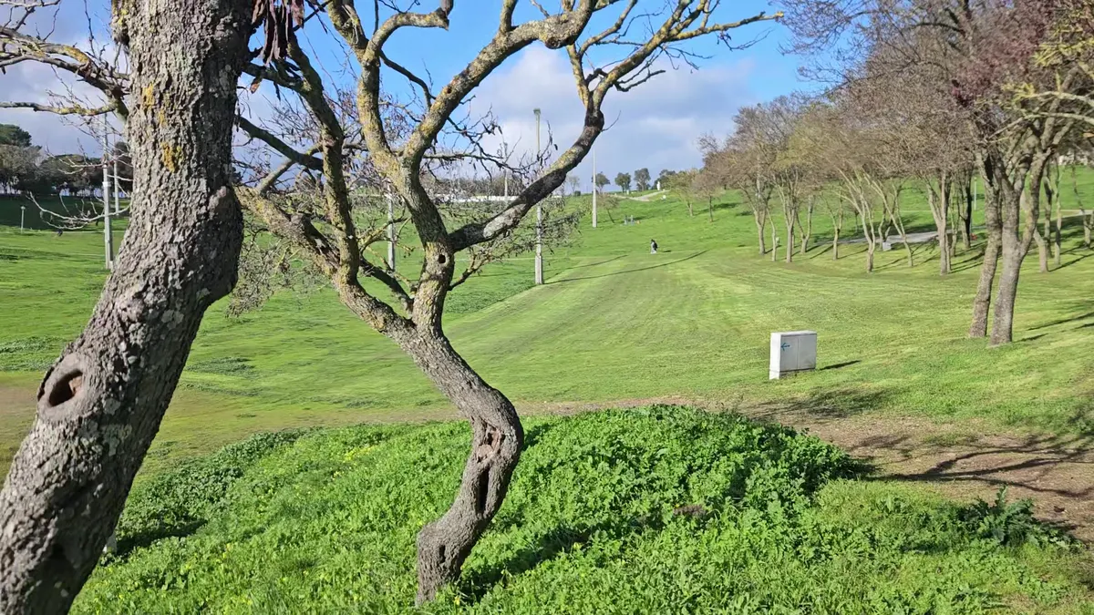 Details at Parque da Bela Vista Lisbon — travel photo