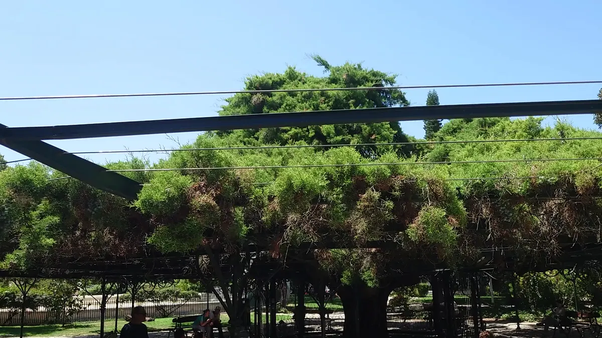 Main view at Principe Real Garden Lisbon — travel photo