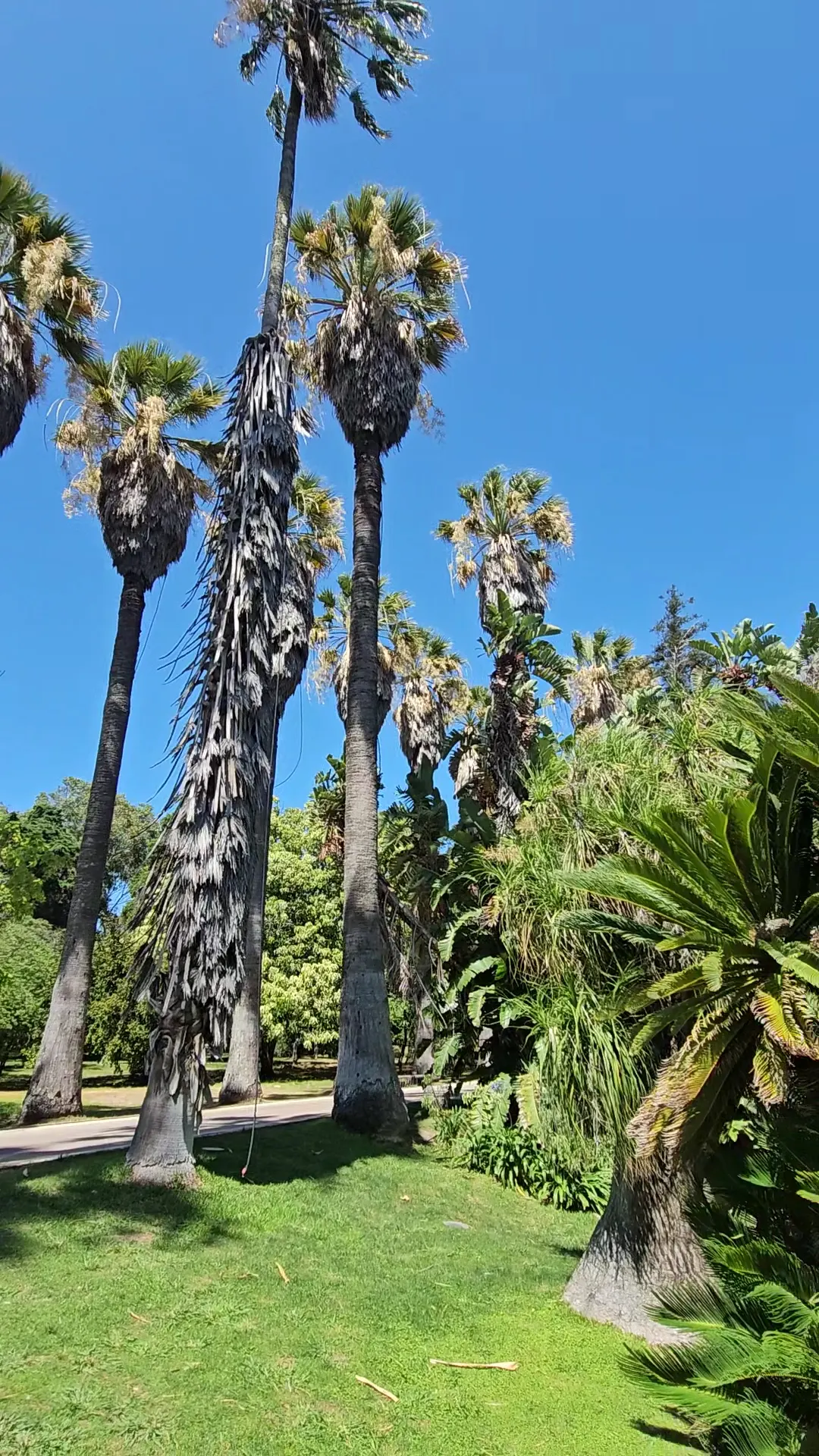 Interior at Tropical Botanical Garden Lisbon — travel photo