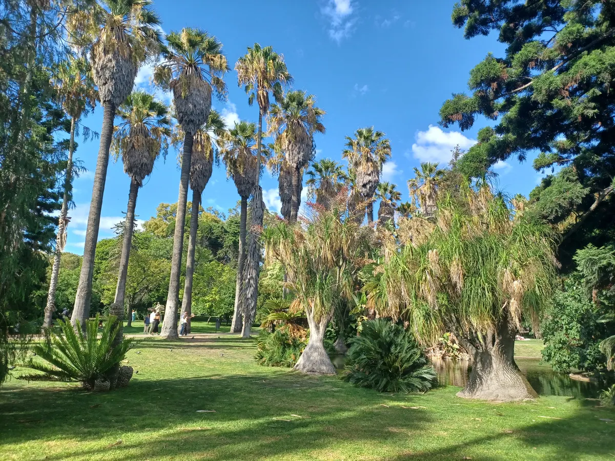 Tropical Botanical Garden — romantic guide Lisbon