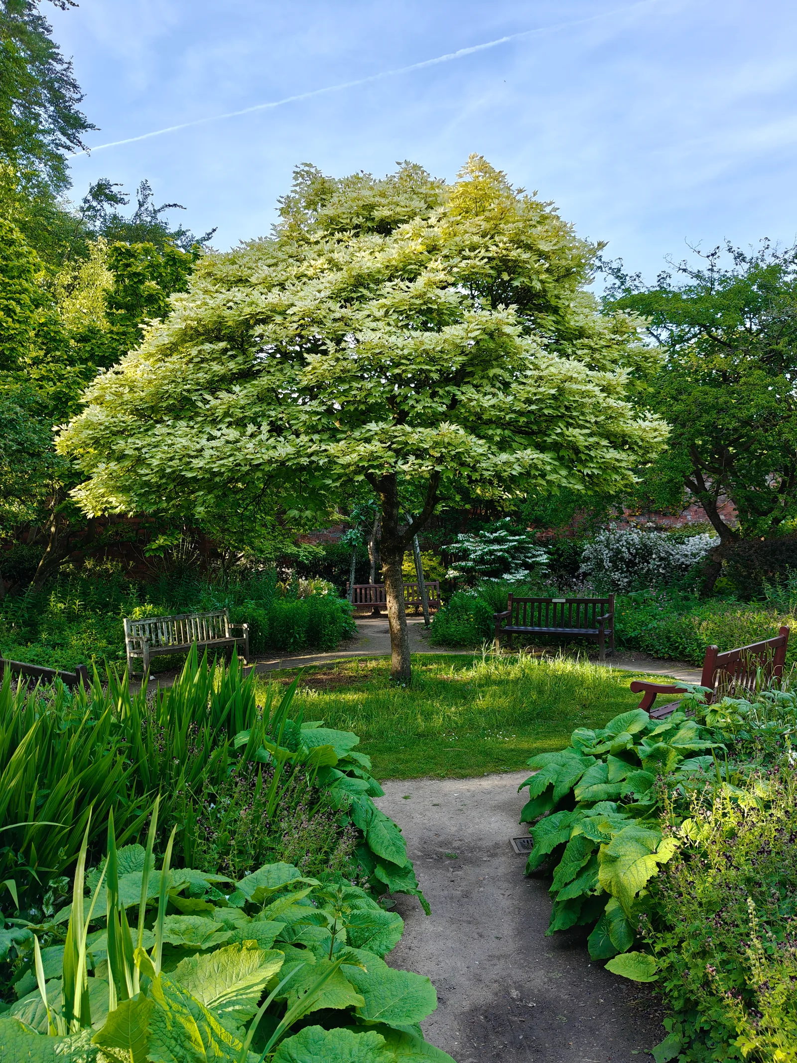 Interior at Calderstones Park Liverpool — travel photo
