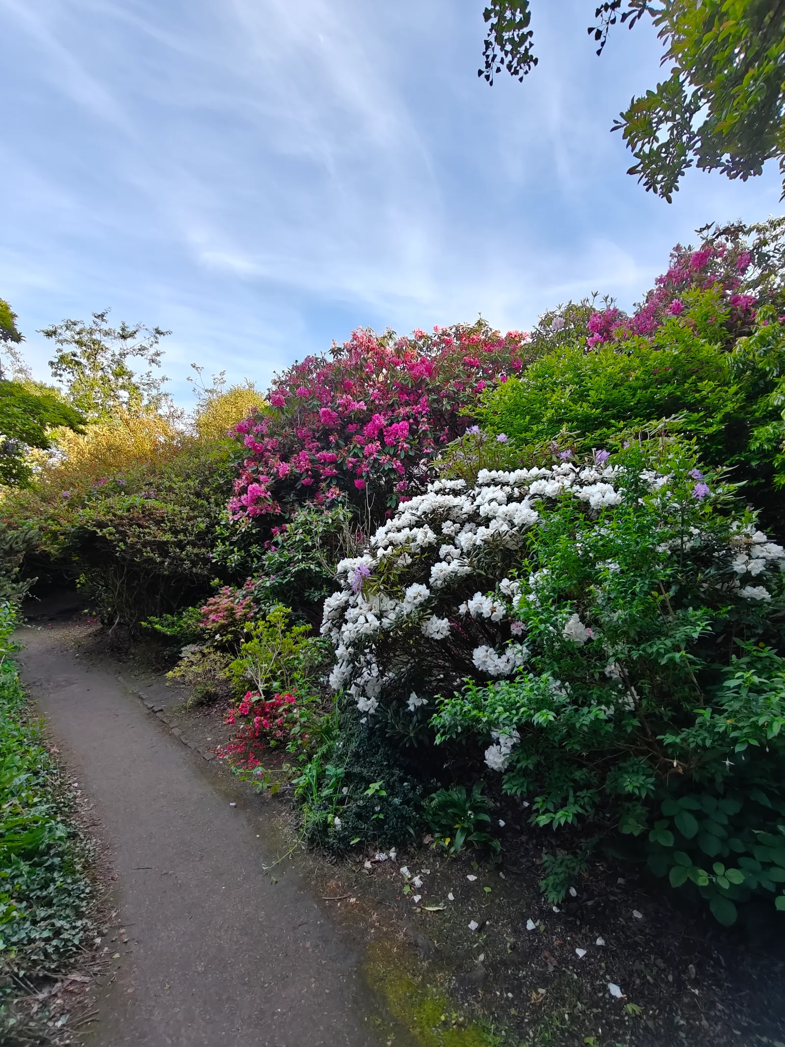 Details at Calderstones Park Liverpool — travel photo