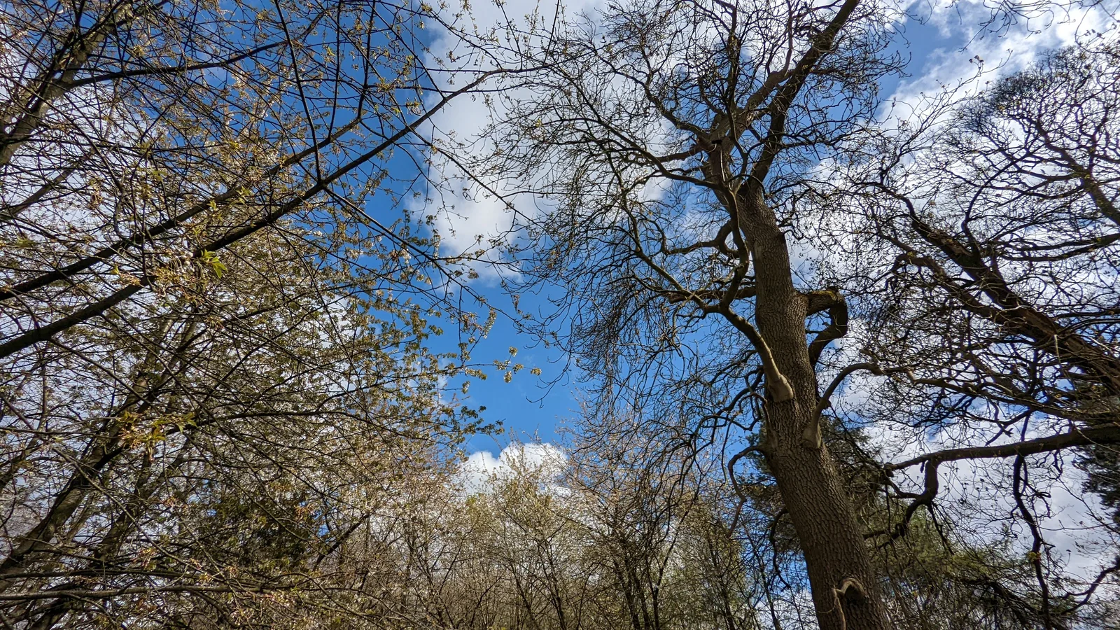 Atmosphere at Clarke Gardens Liverpool — travel photo