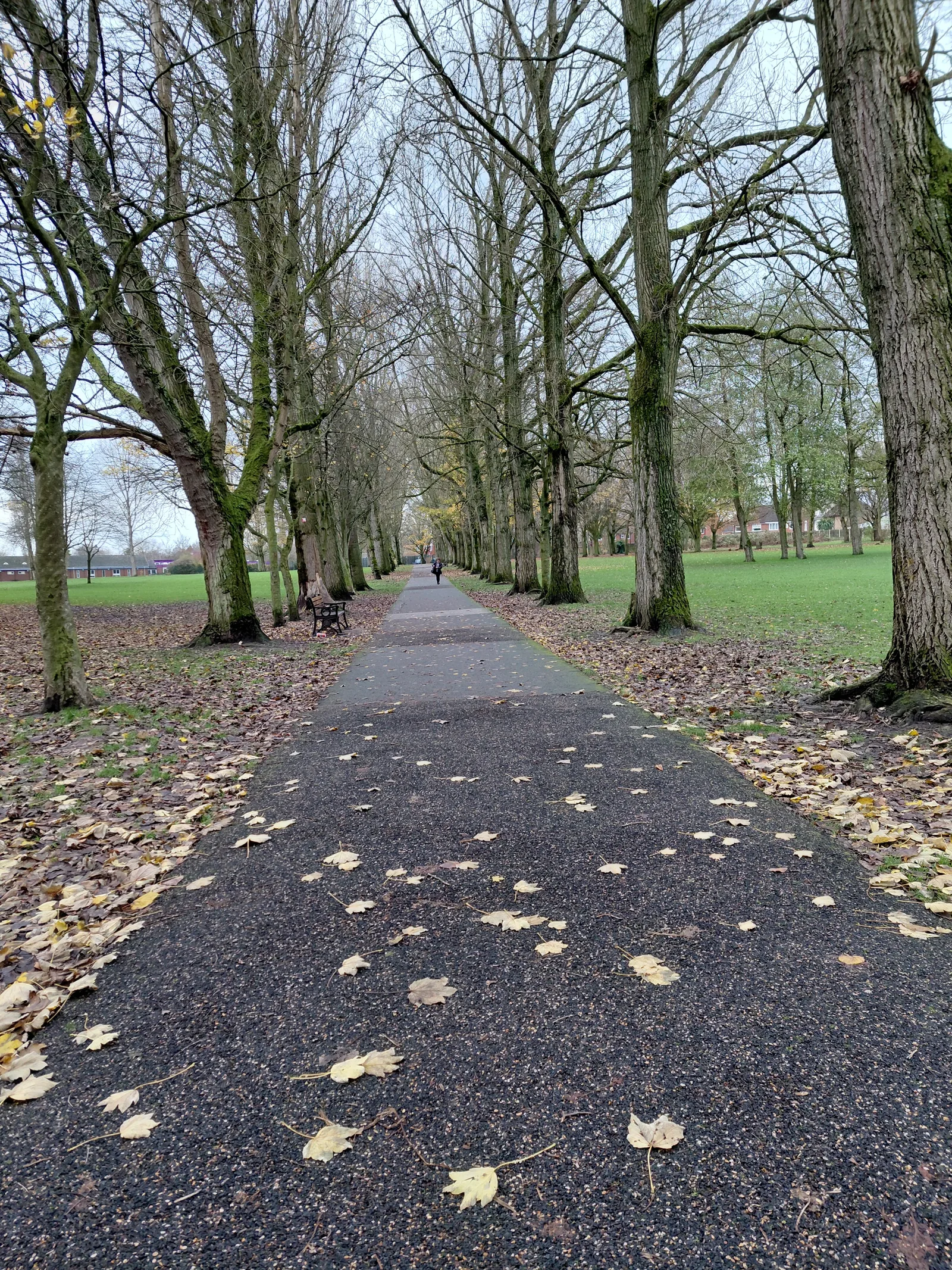 Atmosphere at Court Hey Park Liverpool — travel photo