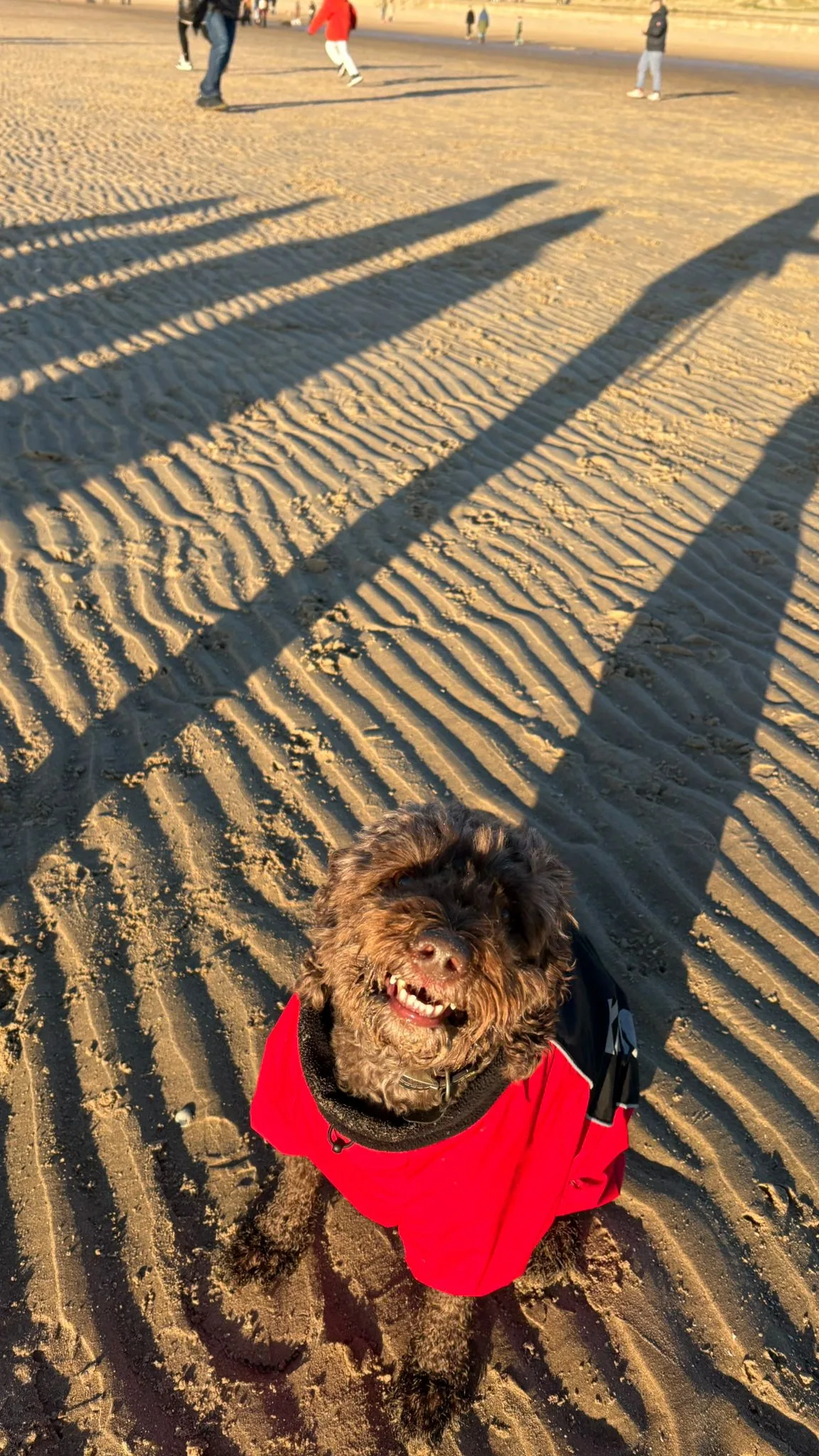 Atmosphere at Crosby Coastal Park Liverpool — travel photo