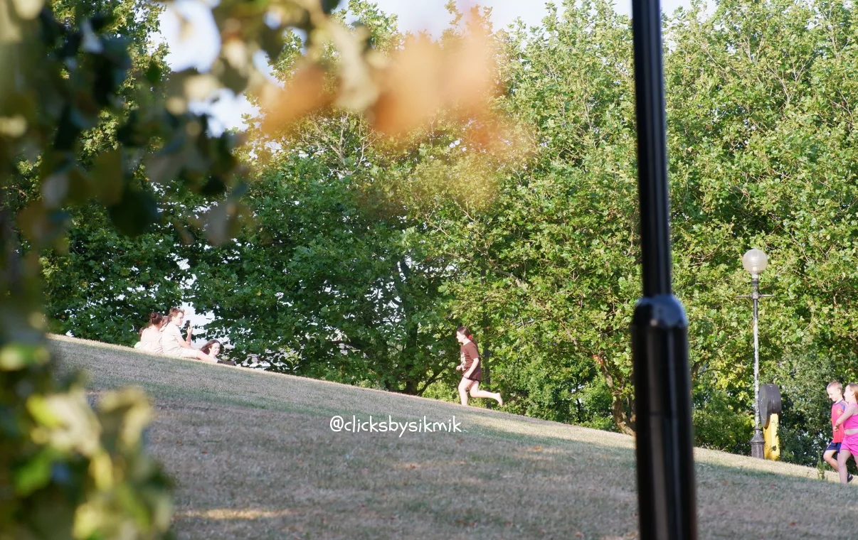 Main view at Everton Park Liverpool — travel photo