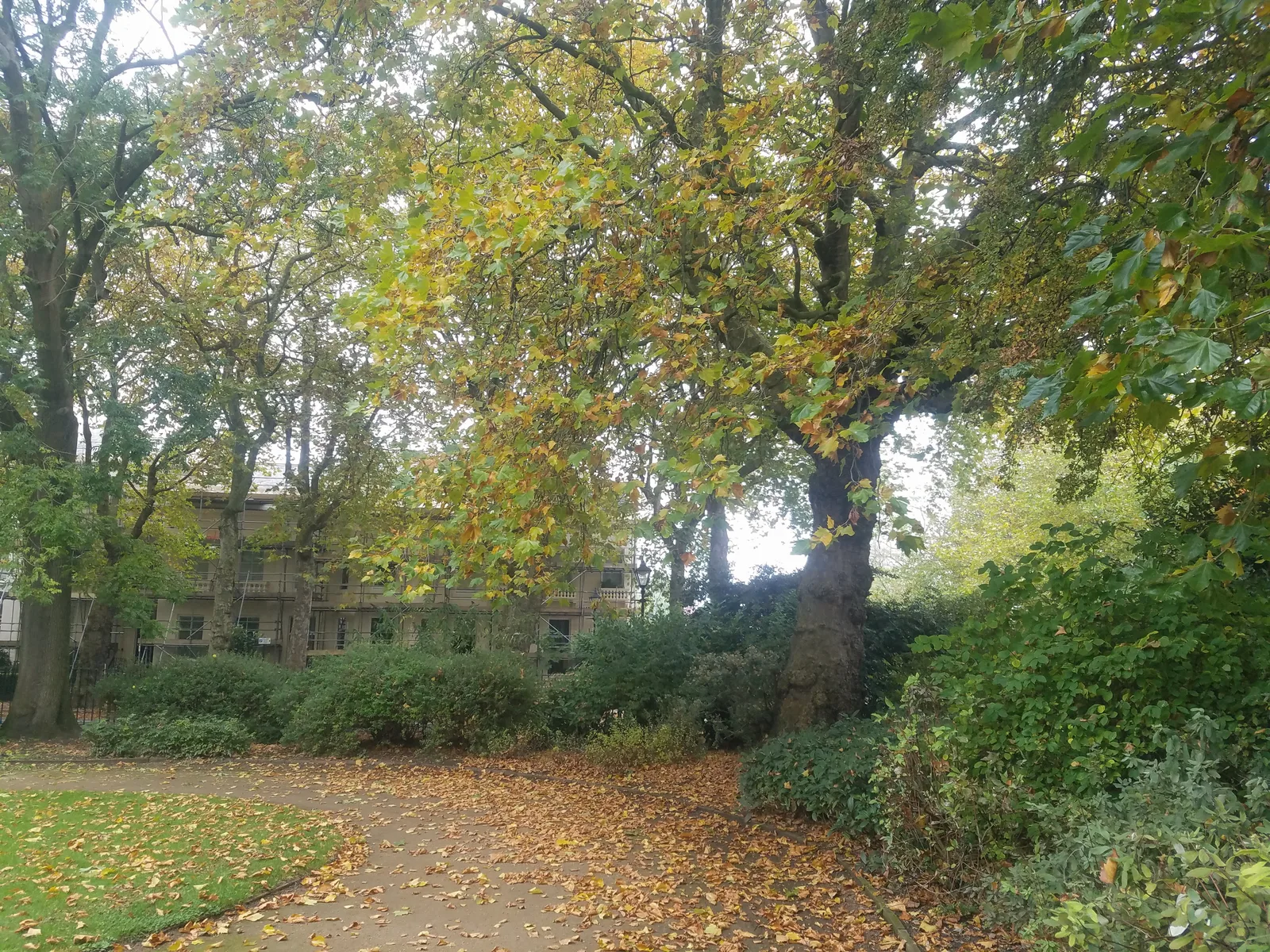 Details at Falkner Square Gardens Liverpool — travel photo