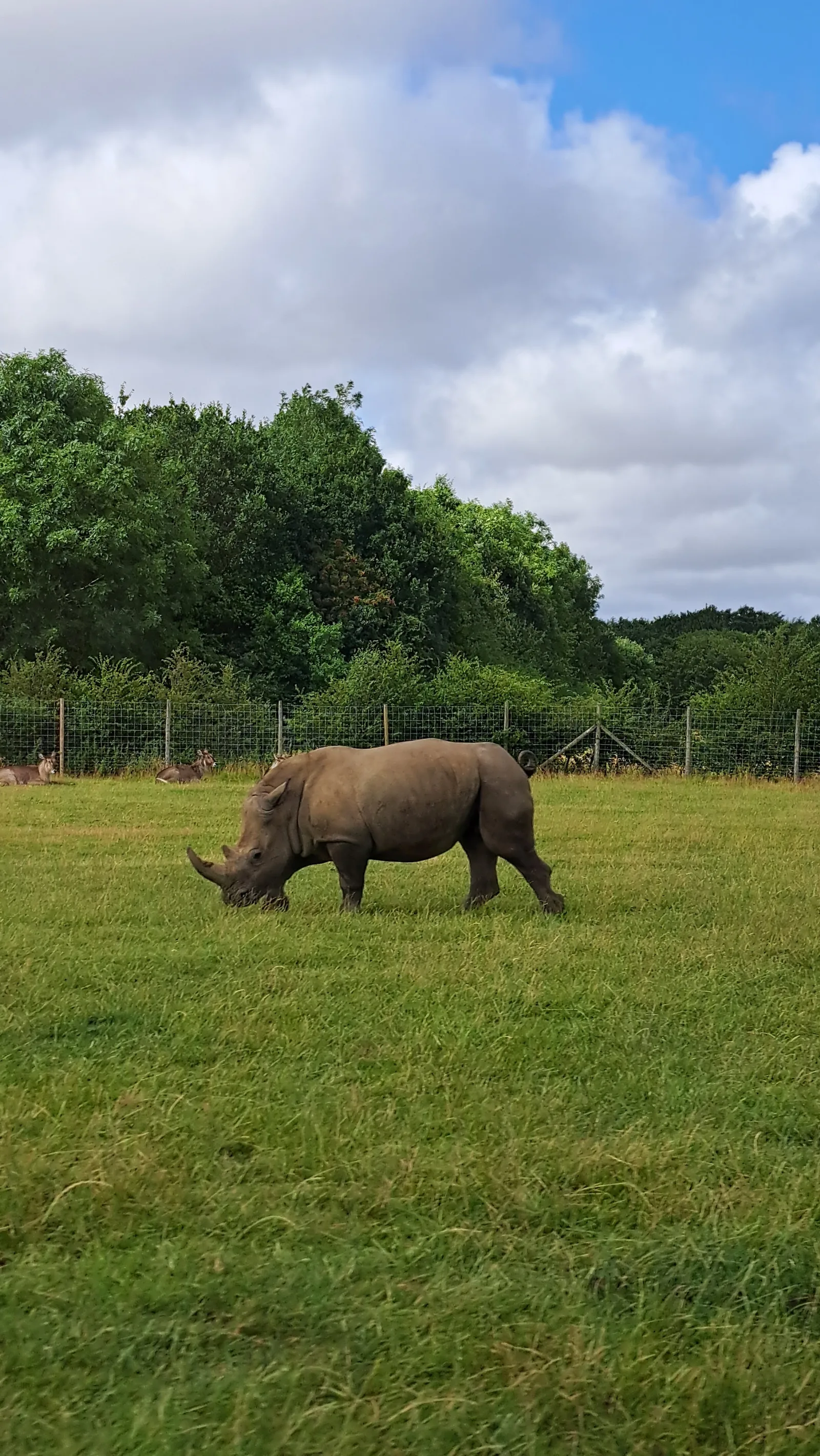 Interior at Knowsley Safari Liverpool — travel photo