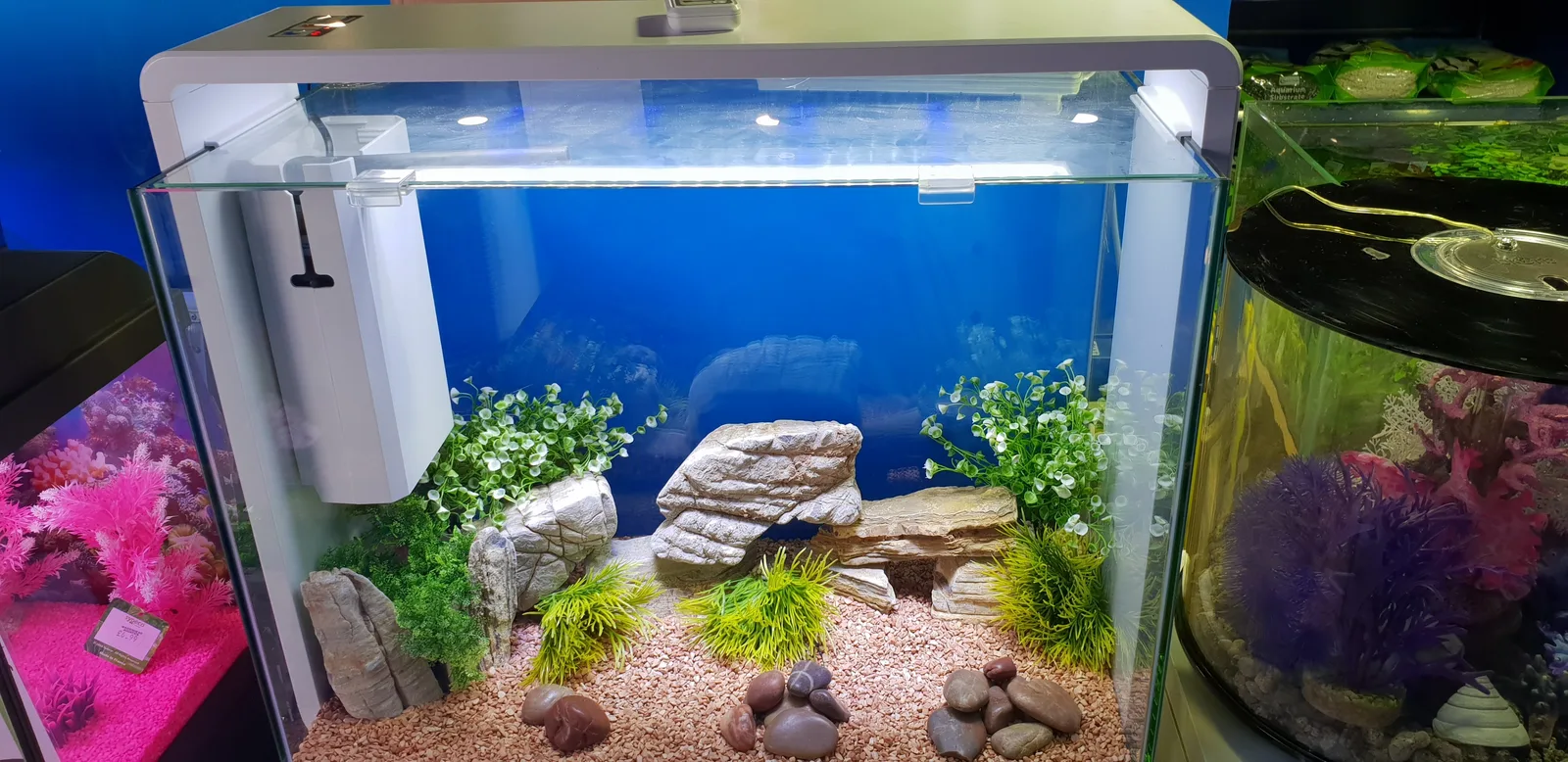 Main view at Maidenhead Aquatics Liverpool Liverpool — travel photo