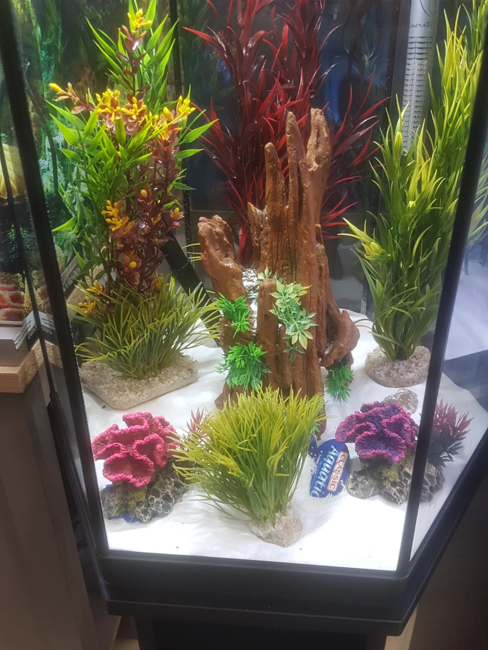 Interior at Maidenhead Aquatics Liverpool Liverpool — travel photo