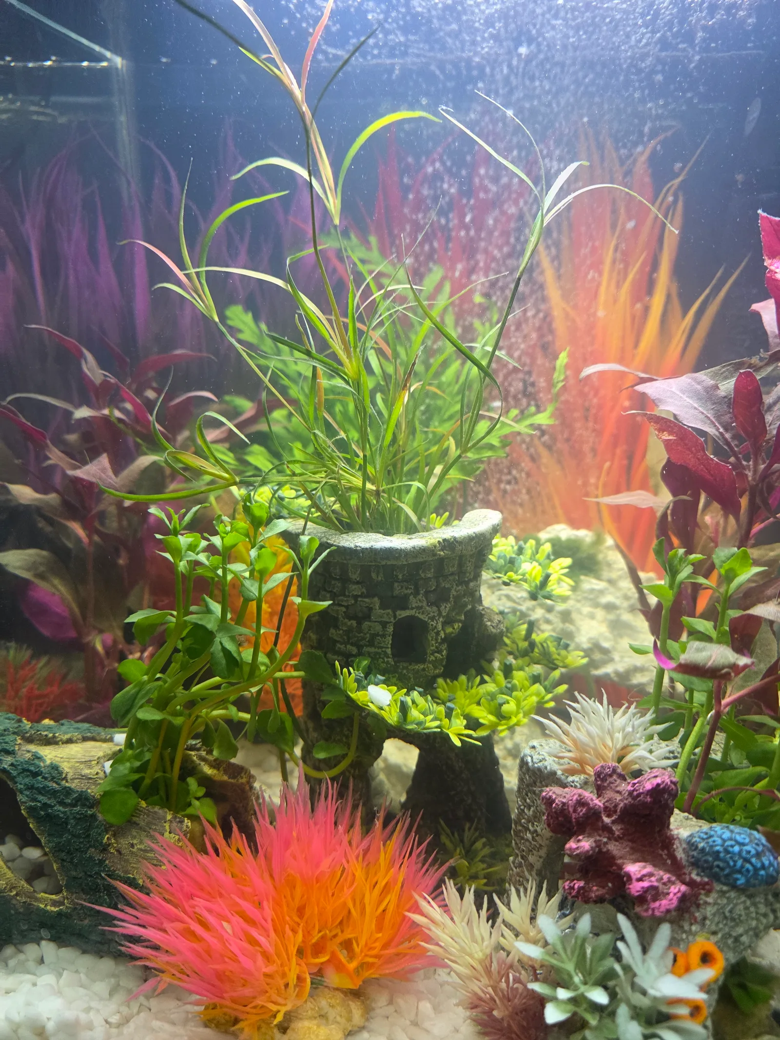Atmosphere at Maidenhead Aquatics Liverpool Liverpool — travel photo
