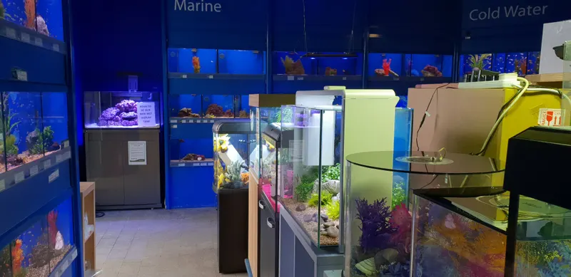 Maidenhead Aquatics Liverpool in Liverpool