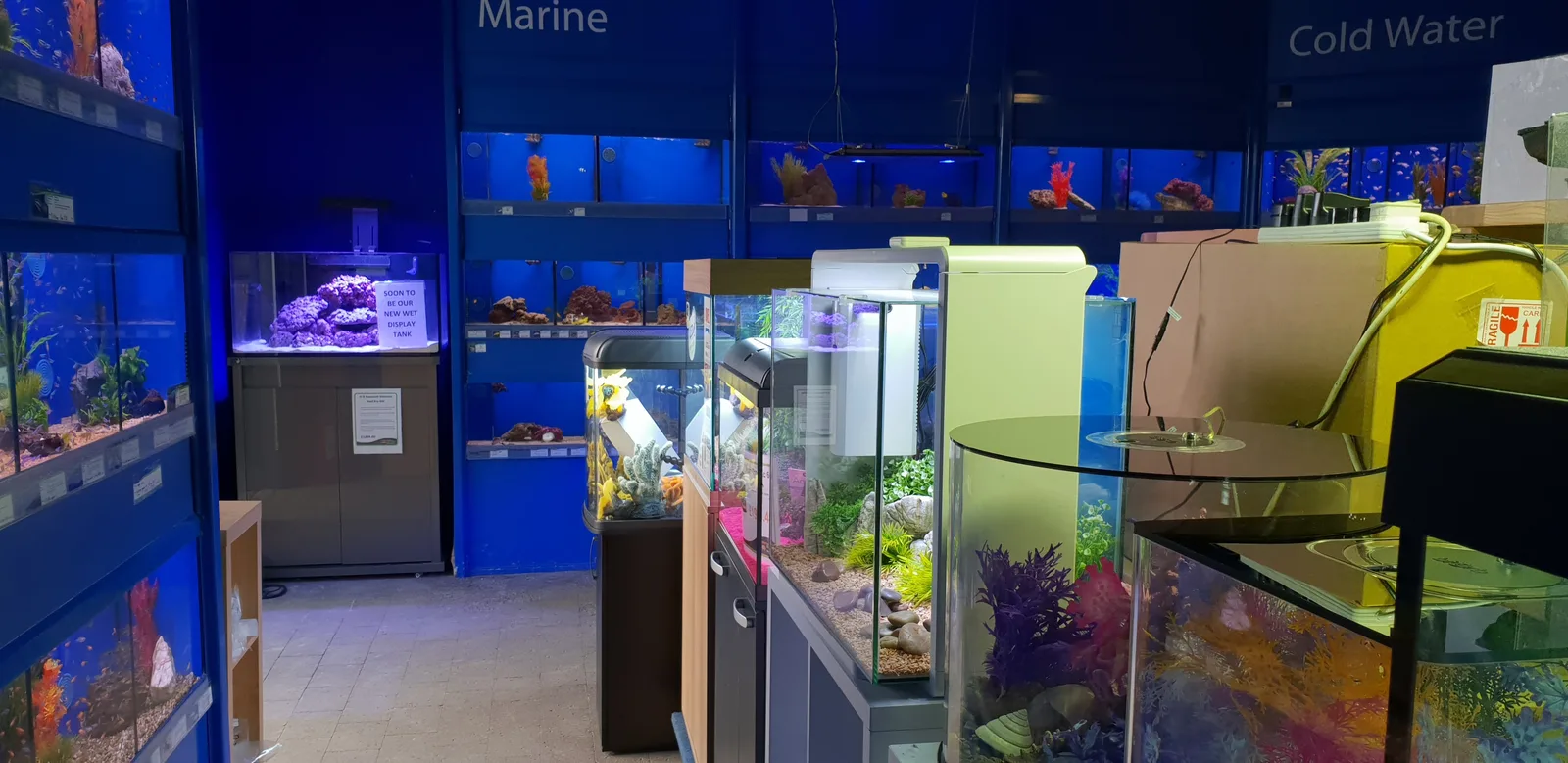 Maidenhead Aquatics Liverpool