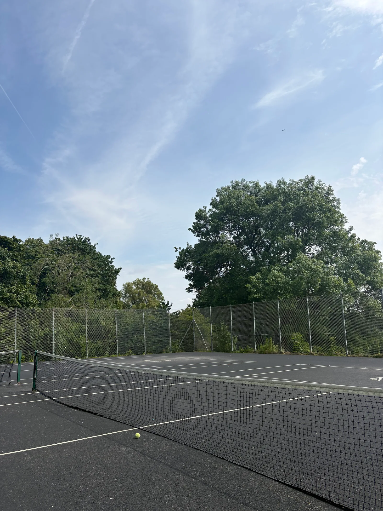 Main view at Princes Park Liverpool — travel photo