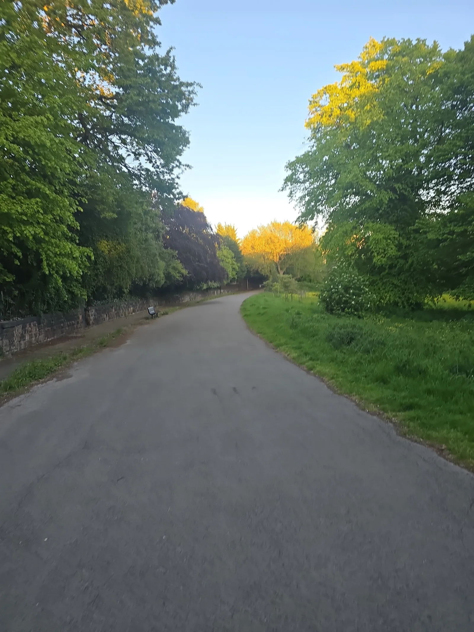 Atmosphere at Princes Park Liverpool — travel photo