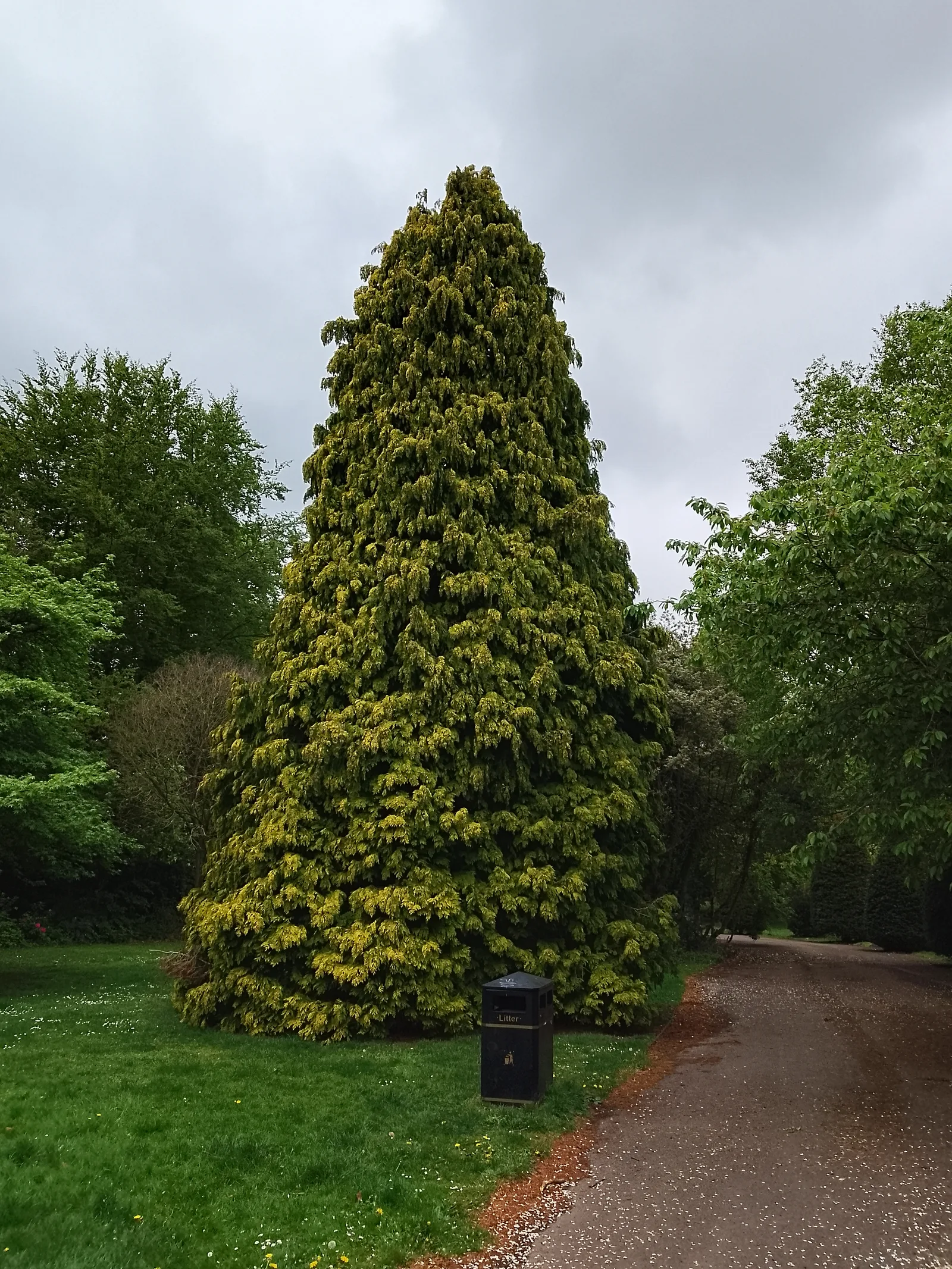 Main view at Reynolds Park Liverpool — travel photo
