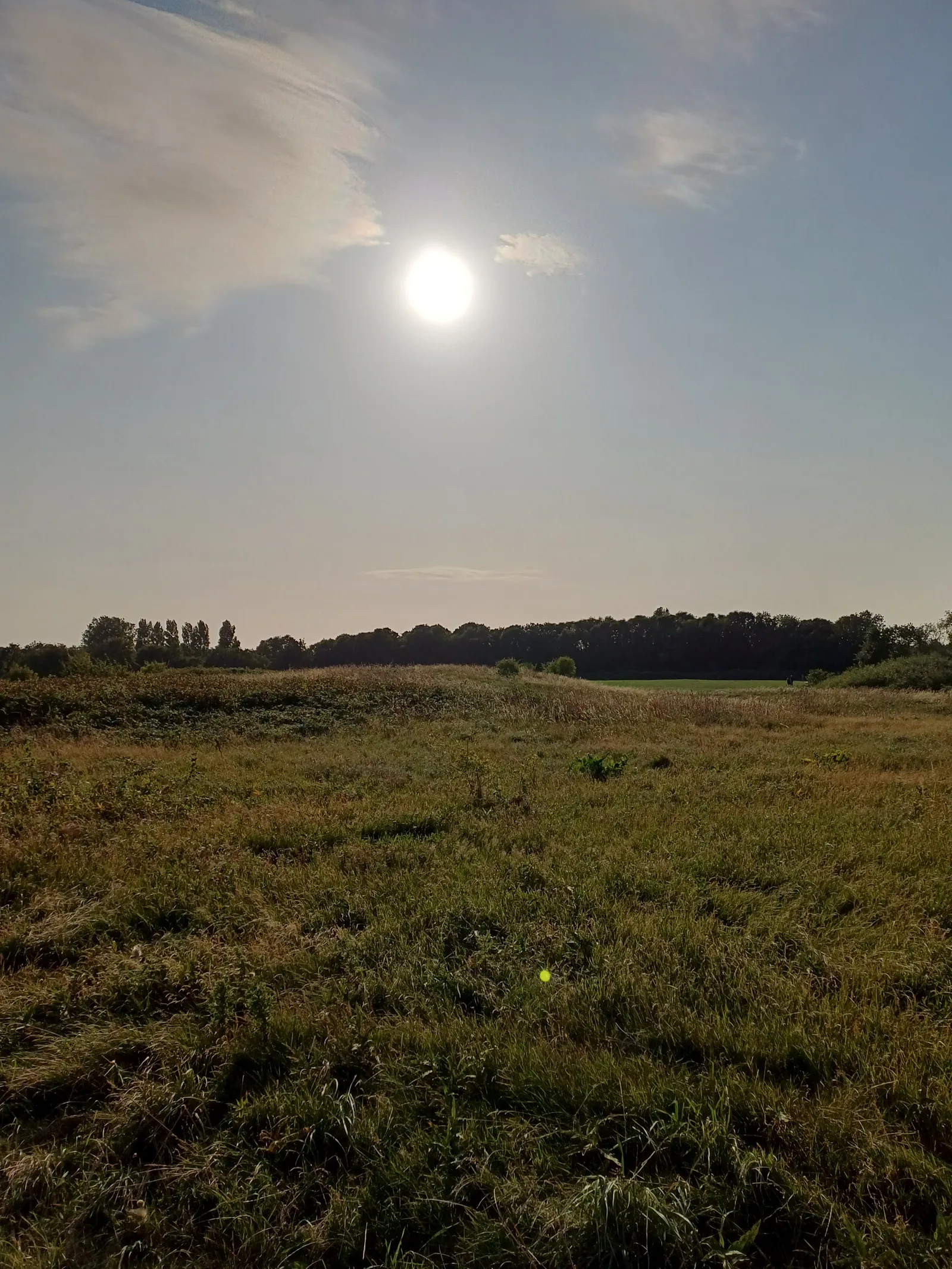Atmosphere at Rimrose Valley Country Park Liverpool — travel photo