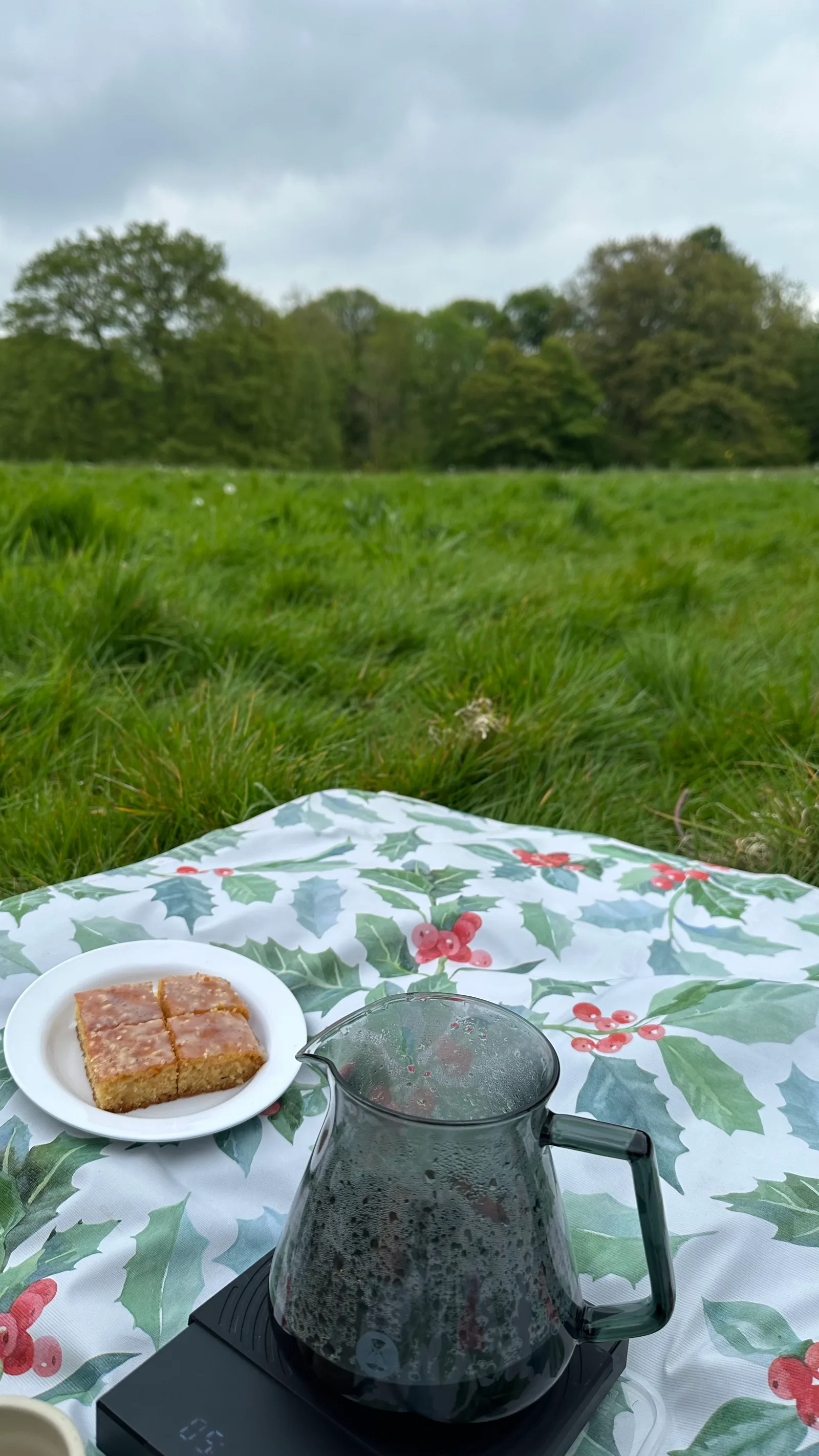 Main view at Sefton Park Liverpool — travel photo