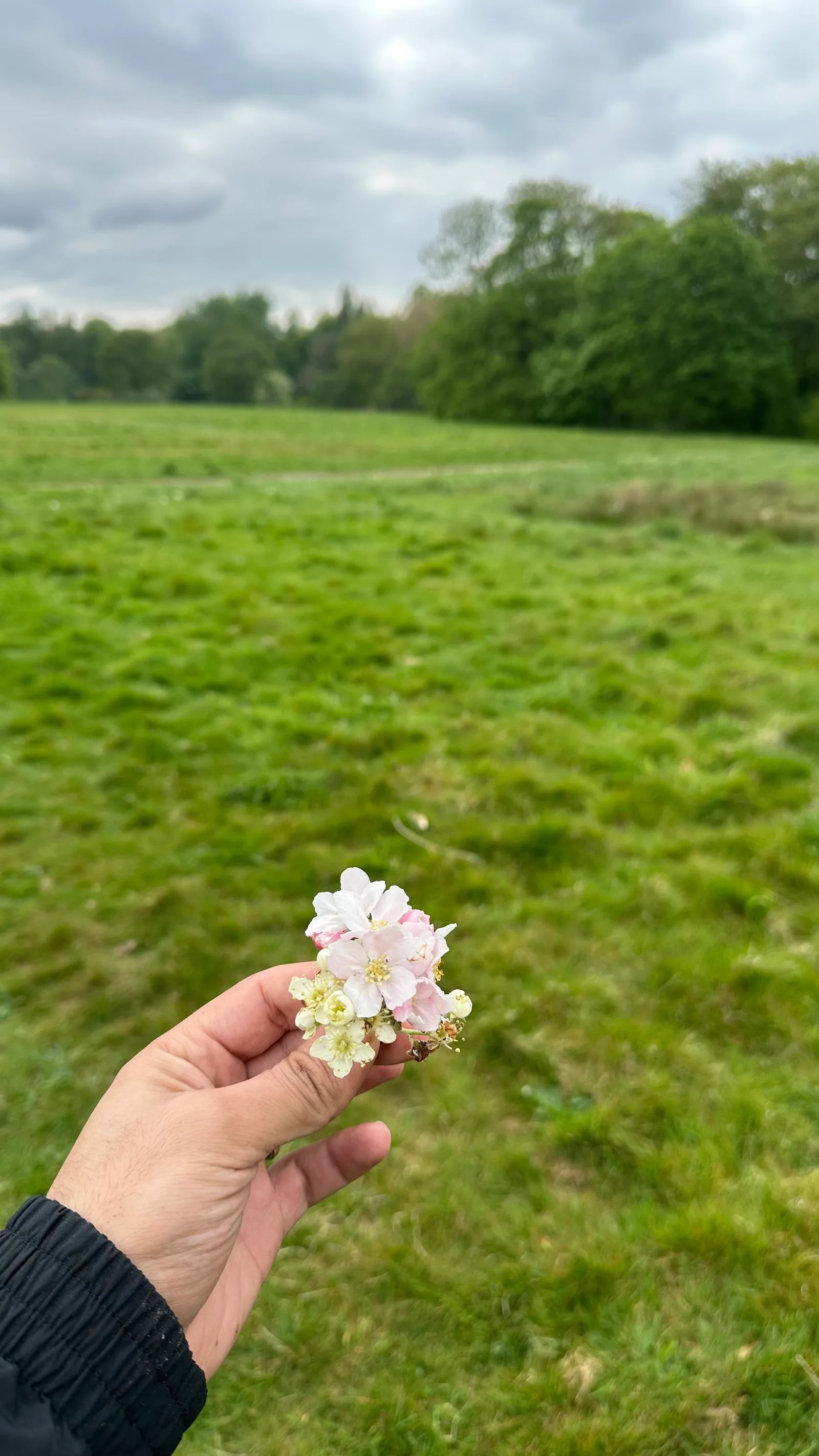 Interior at Sefton Park Liverpool — travel photo